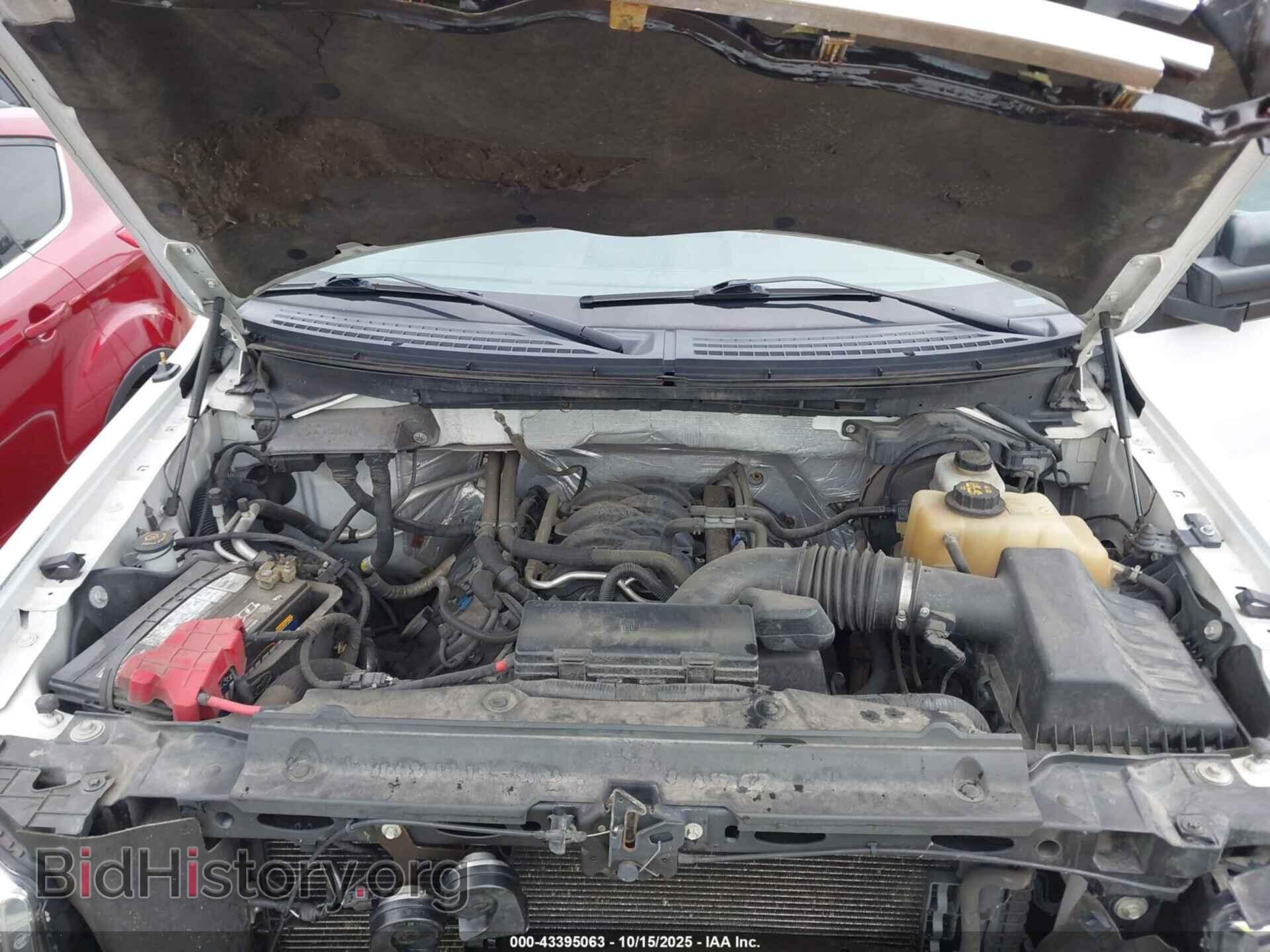 2011 FORD F-150 - VIN: 1FTFX1EF1BFD42517 - Фото 10