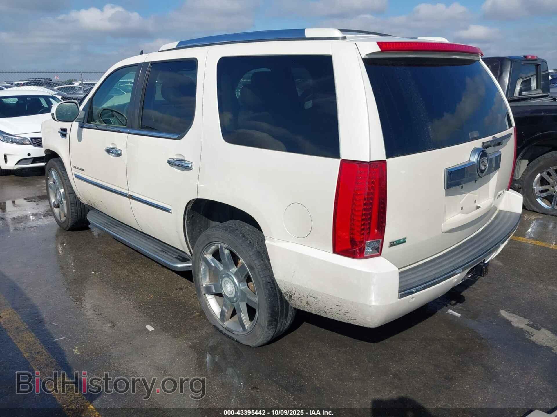 2010 CADILLAC ESCALADE - VIN: 1GYUKAEF8AR112194 - Фото 3
