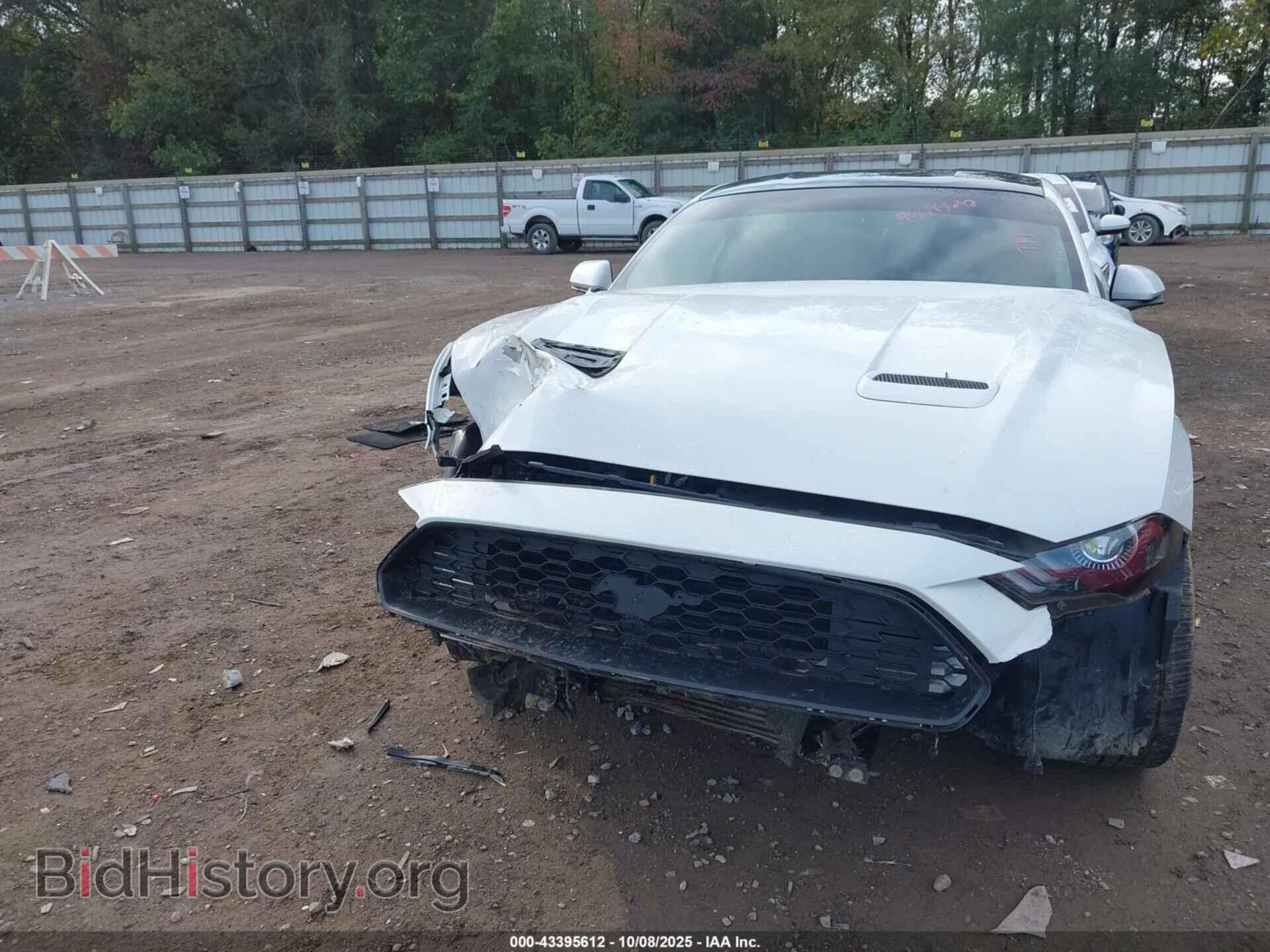 2019 FORD MUSTANG - VIN: 1FA6P8THXK5129204 - Фото 11
