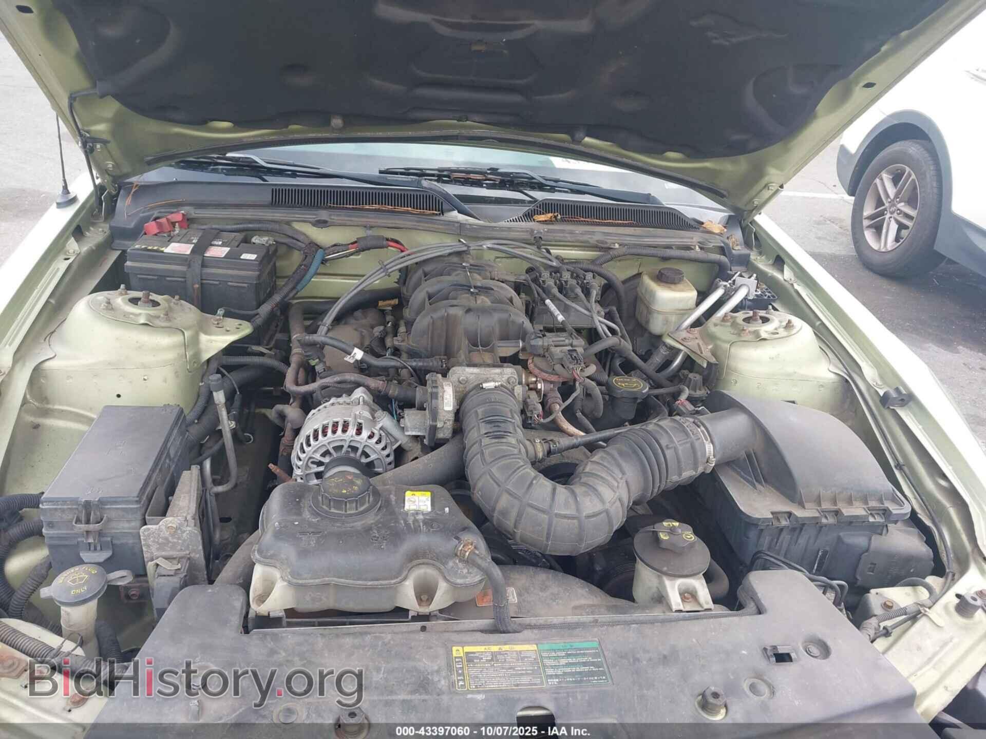 2006 FORD MUSTANG - VIN: 1ZVFT80NX65239012 - Фото 10