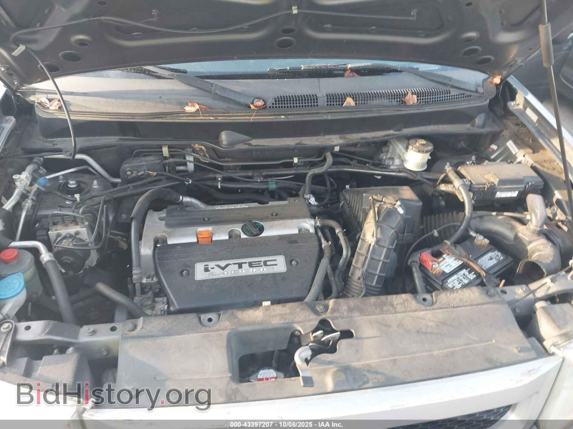 2010 HONDA ELEMENT - VIN: 5J6YH2H7XAL004415 - Фото 10