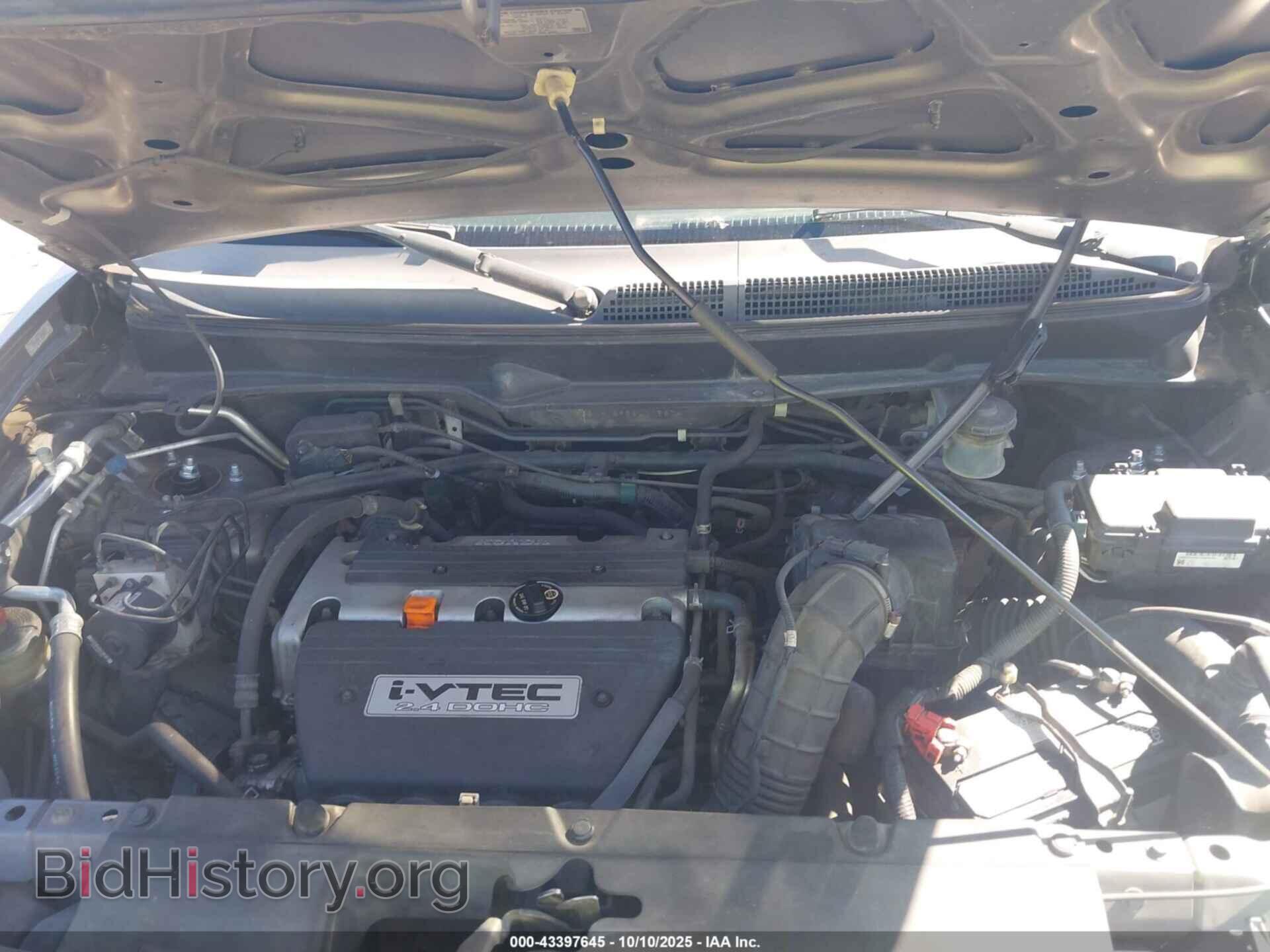 2008 HONDA ELEMENT - VIN: 5J6YH18968L005874 - Фото 10