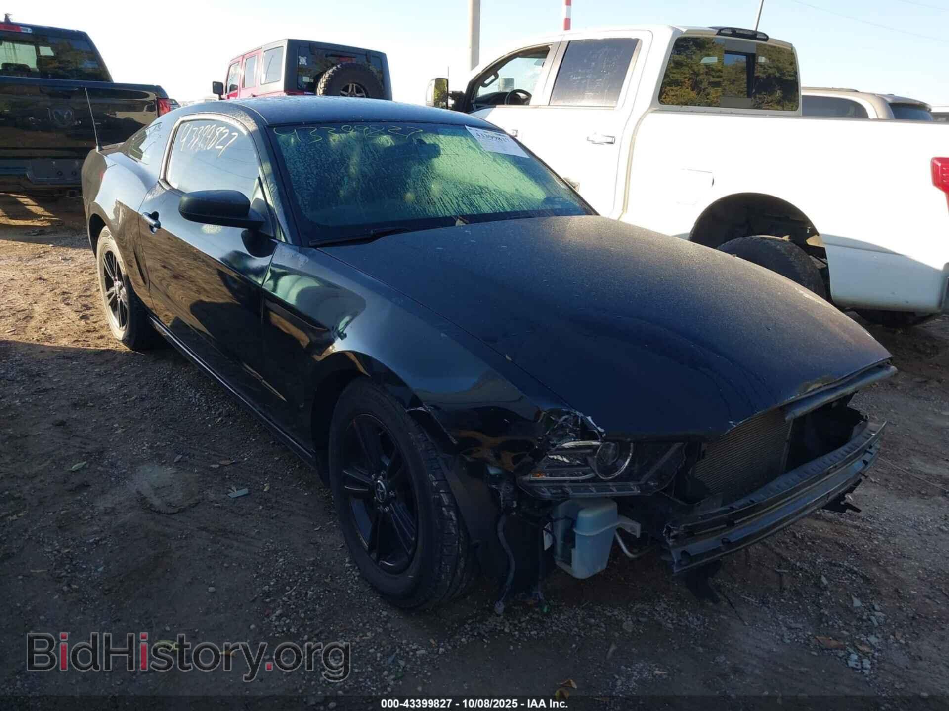 Photo 1ZVBP8AM4E5206692 - FORD MUSTANG 2014