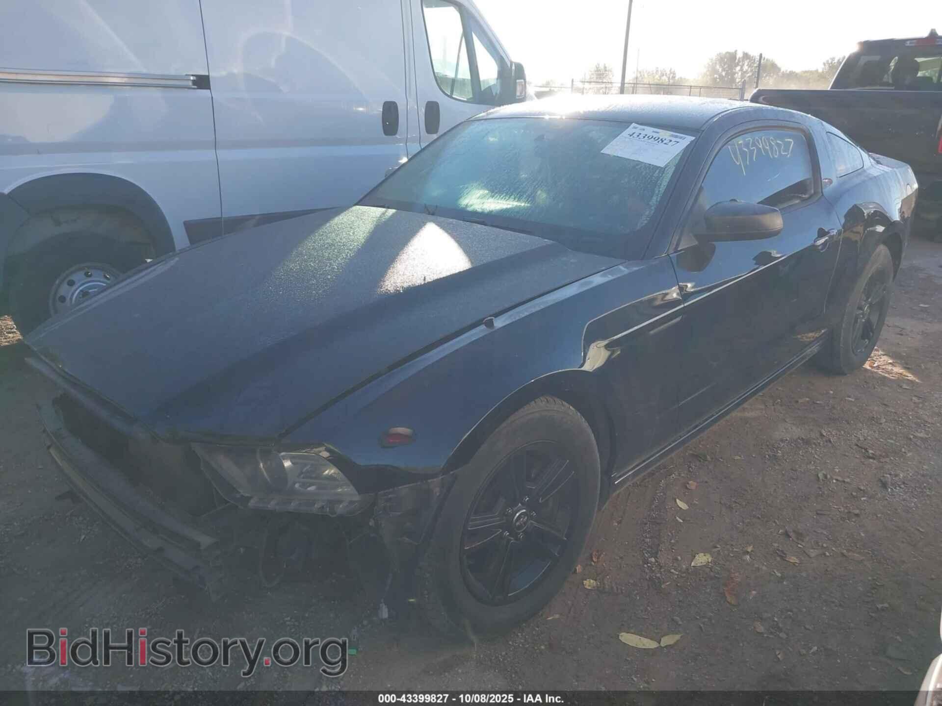 2014 FORD MUSTANG - VIN: 1ZVBP8AM4E5206692 - Фото 2