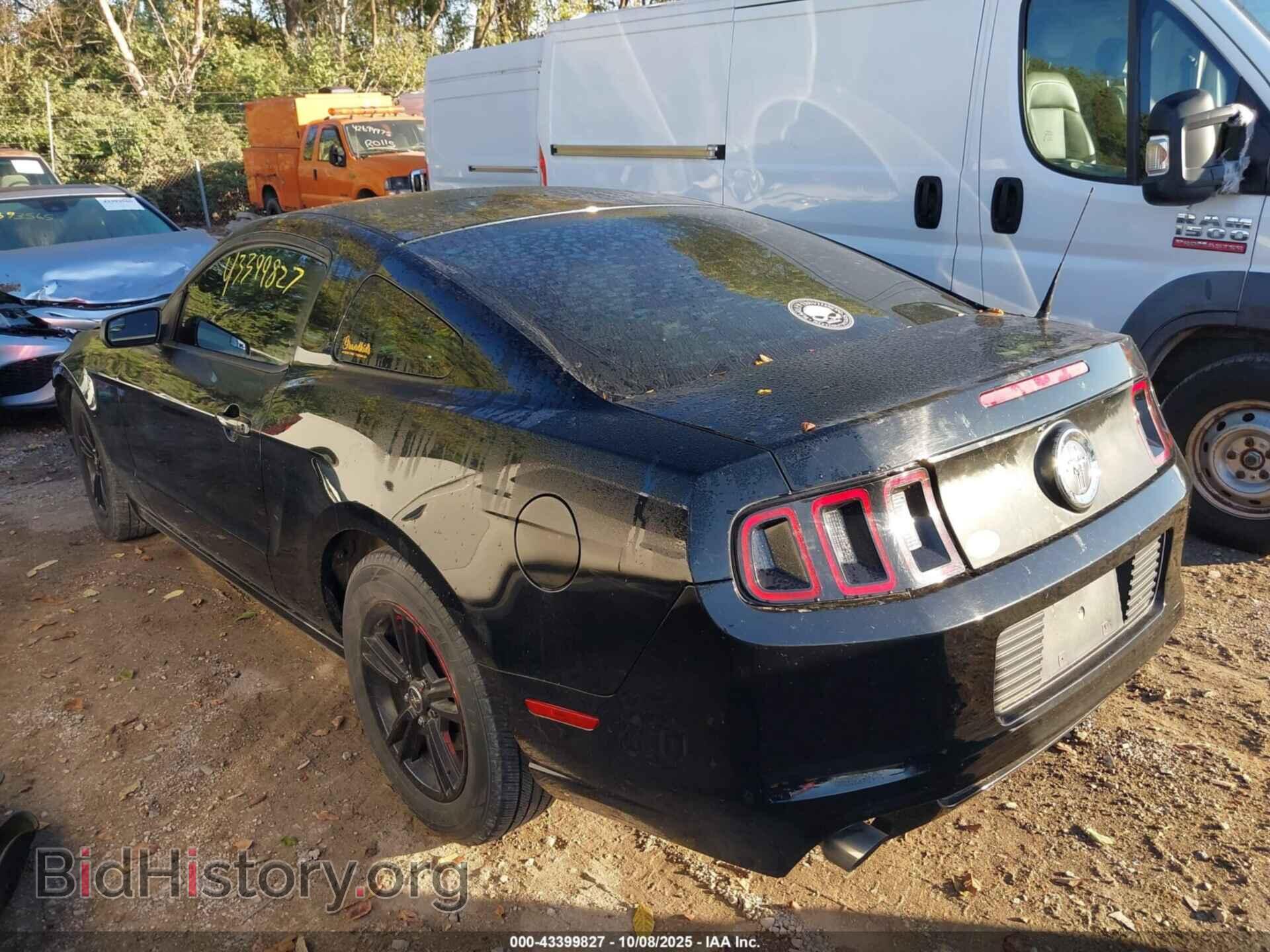 2014 FORD MUSTANG - VIN: 1ZVBP8AM4E5206692 - Фото 3