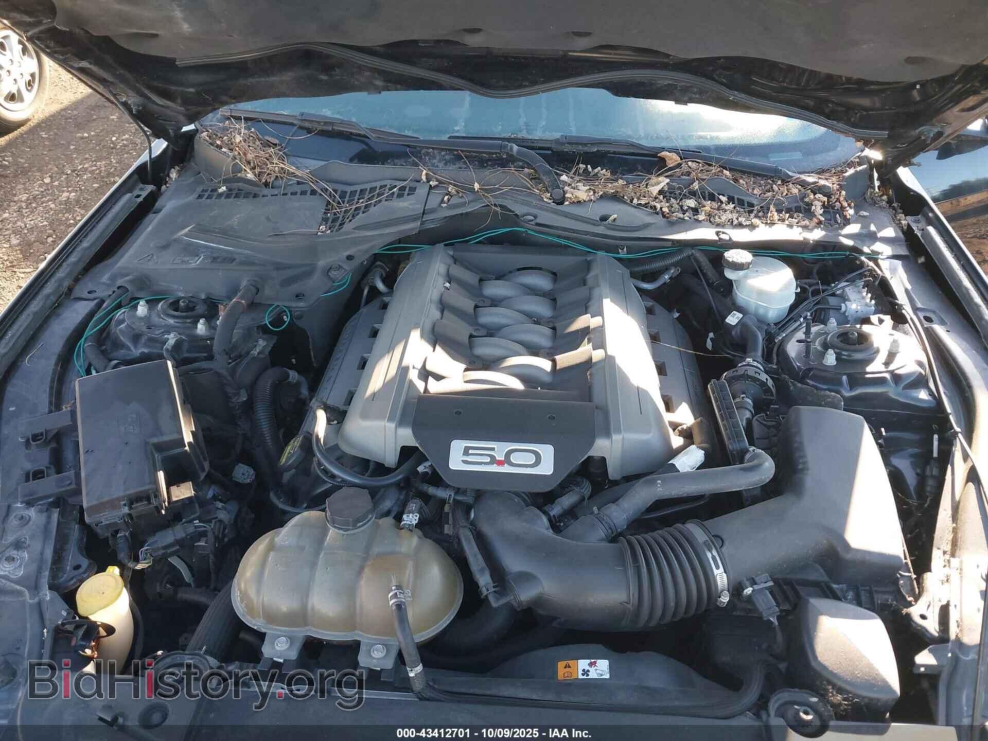 2015 FORD MUSTANG - VIN: 1FA6P8CF2F5328414 - Фото 10
