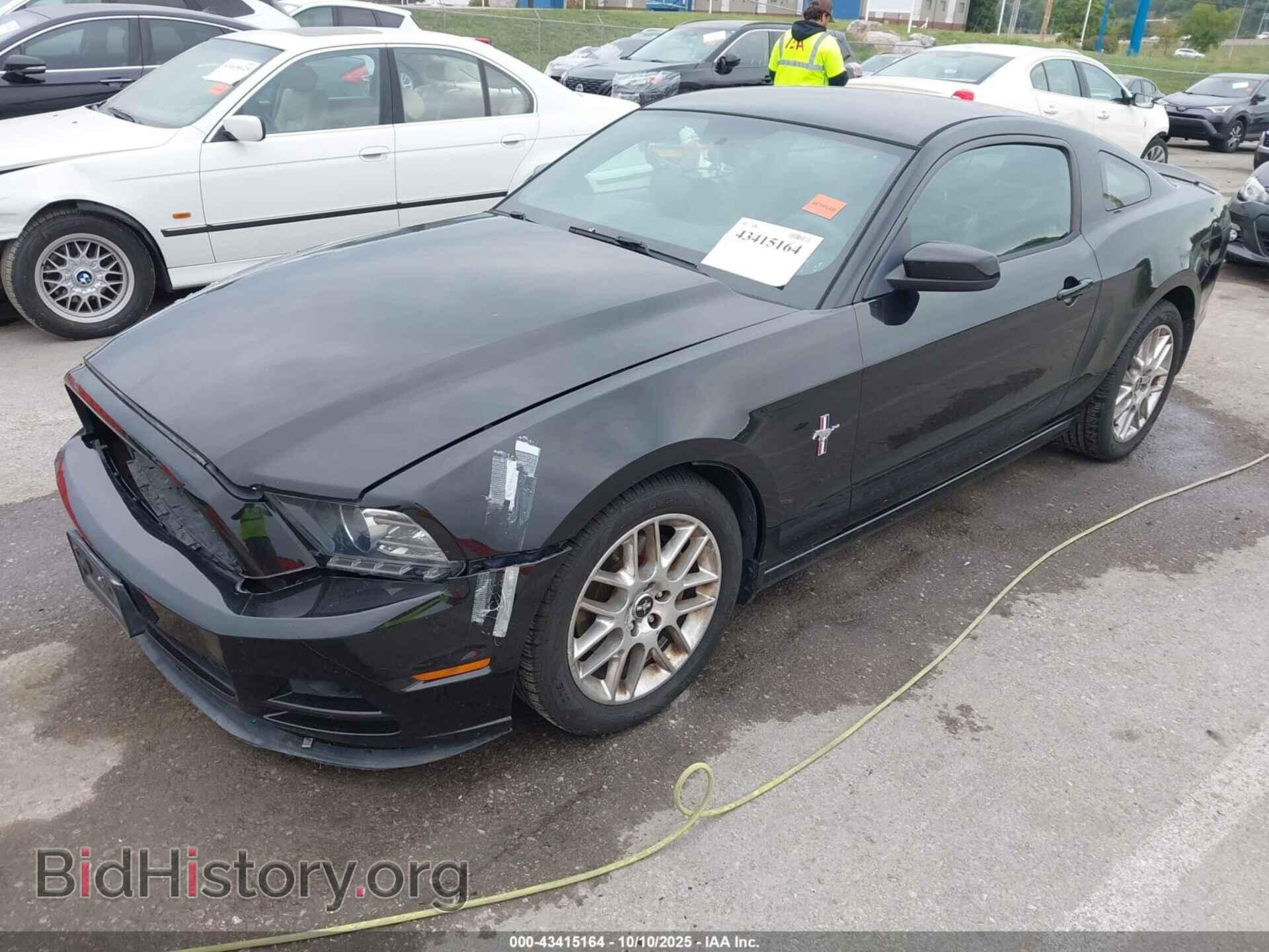 2013 FORD MUSTANG - VIN: 1ZVBP8AM8D5244764 - Фото 2