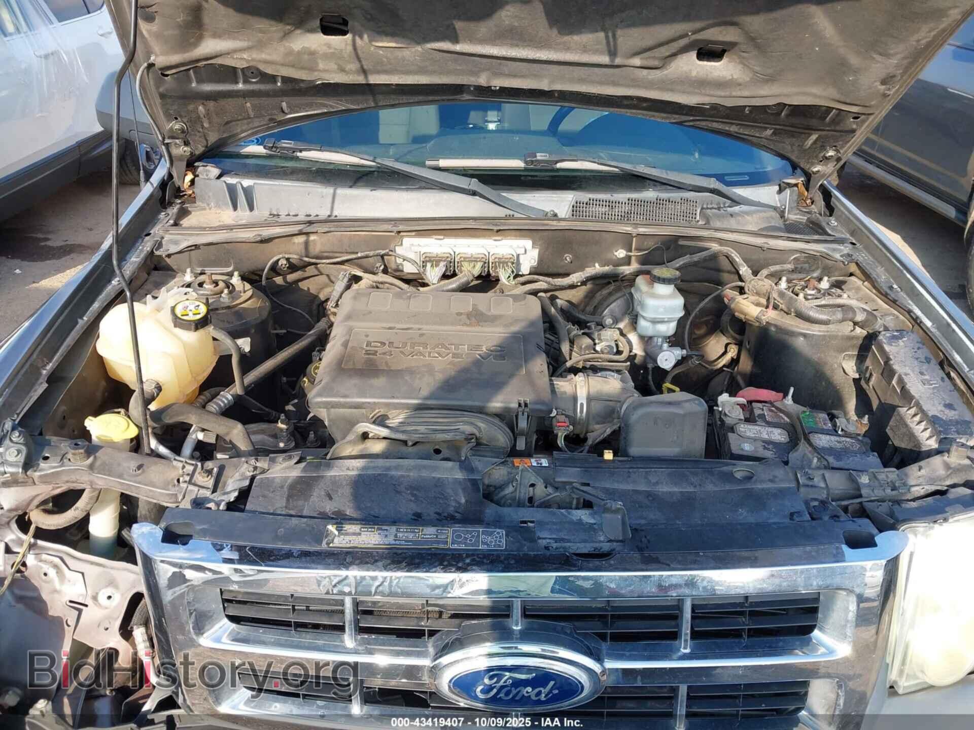 2011 FORD ESCAPE - VIN: 1FMCU0DG3BKA07679 - Фото 10