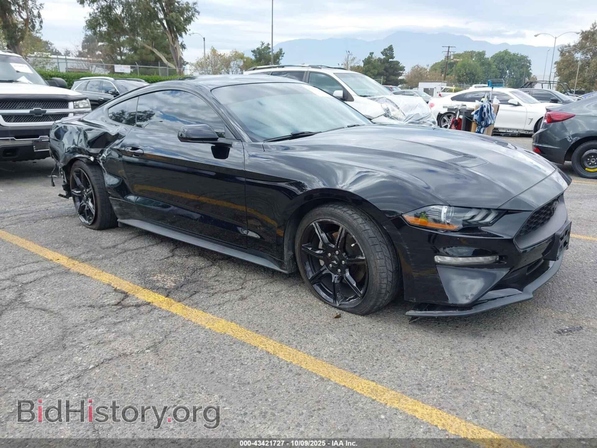 Фотография 1FA6P8TH5K5203533 - FORD MUSTANG 2019