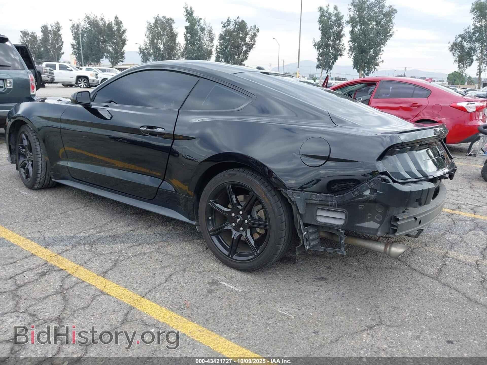2019 FORD MUSTANG - VIN: 1FA6P8TH5K5203533 - Фото 3