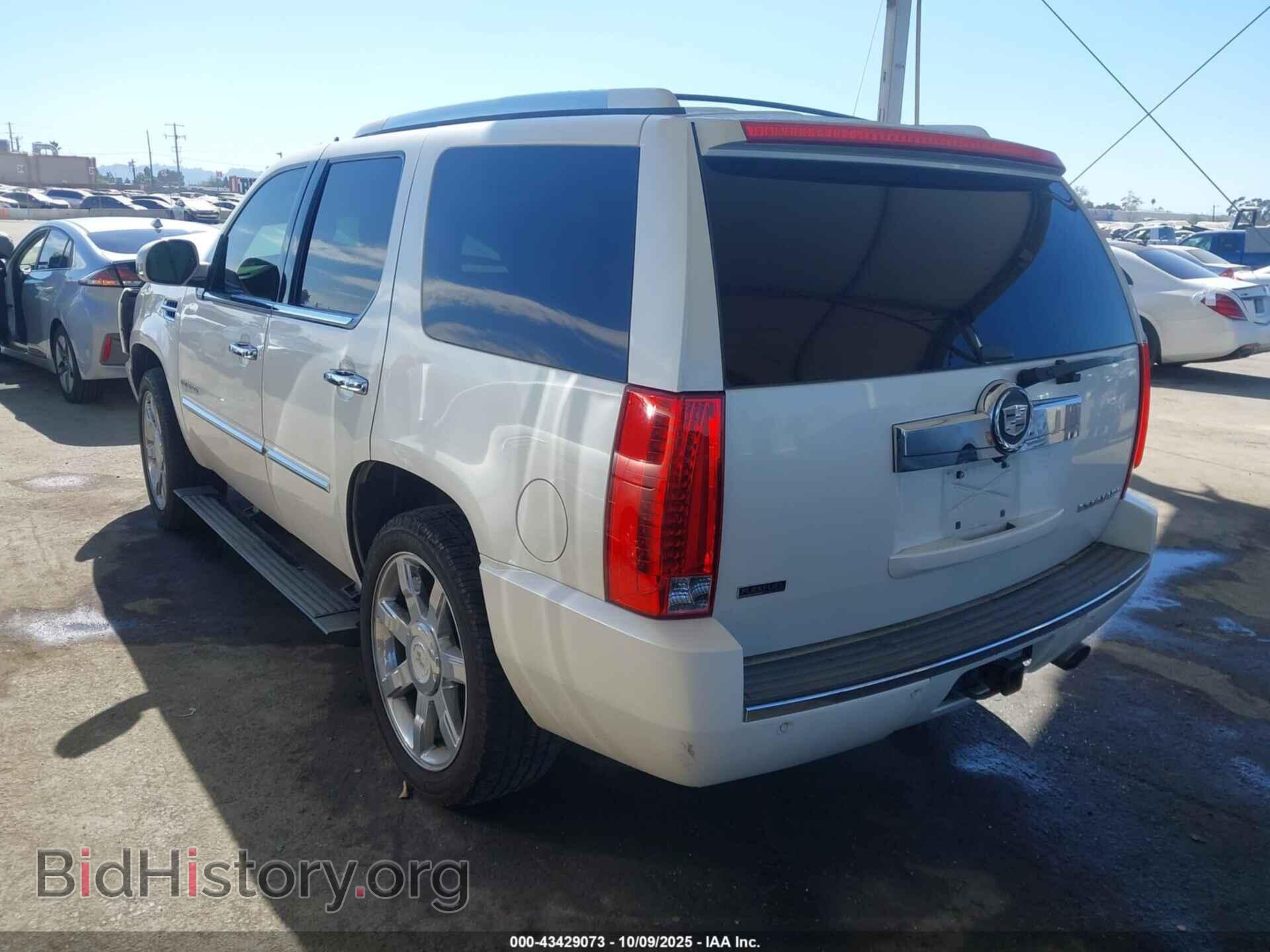 2011 CADILLAC ESCALADE - VIN: 1GYS4CEF8BR396716 - Фото 3