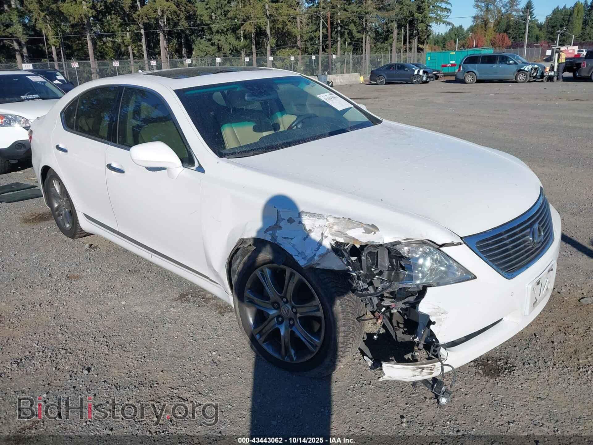 Фотография JTHBL46F685070876 - LEXUS LS 460 2008