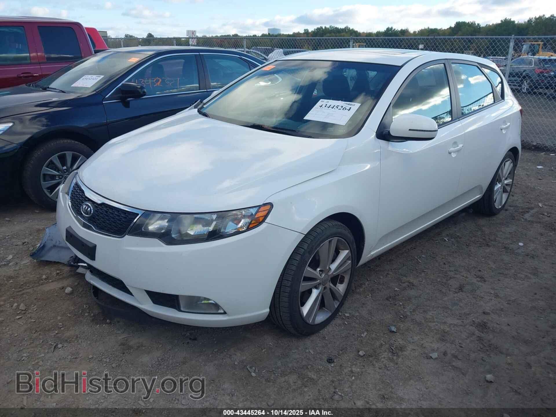 2012 KIA FORTE - VIN: KNAFW5A31C5543568 - Фото 2