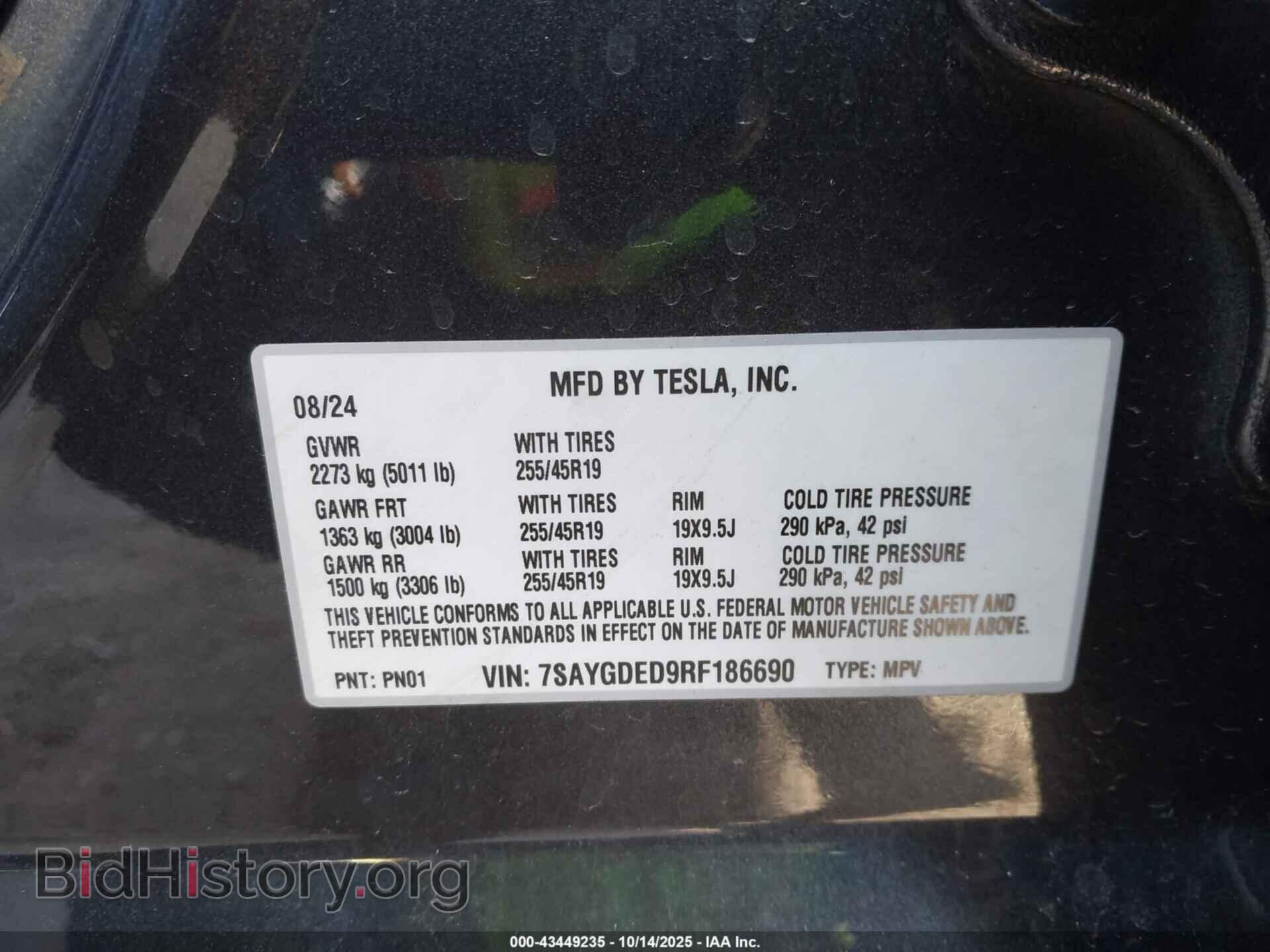2024 TESLA MODEL Y - VIN: 7SAYGDED9RF186690 - Фото 9