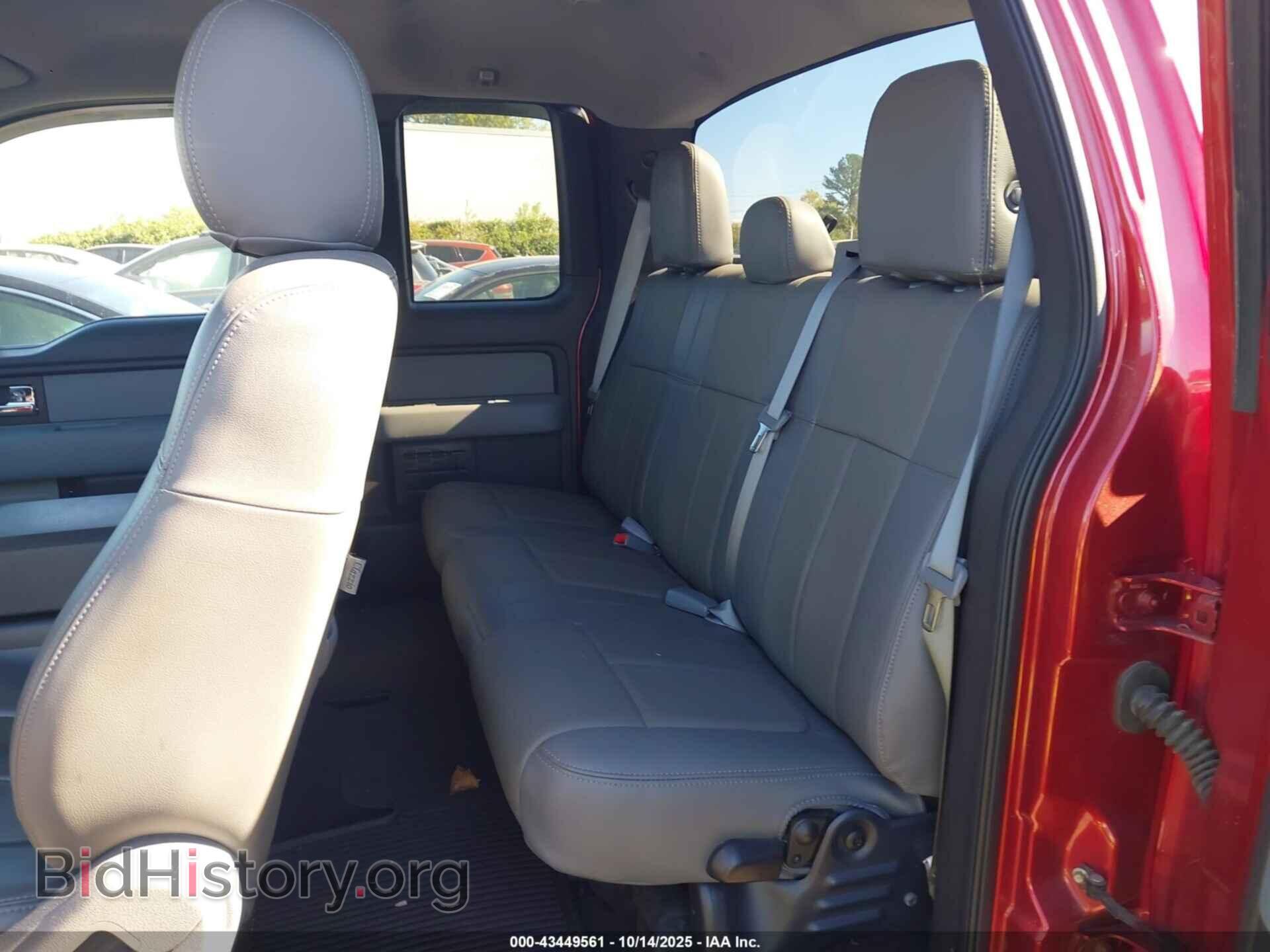 2013 FORD F-150 - VIN: 1FTFX1EFXDKG04903 - Фото 8