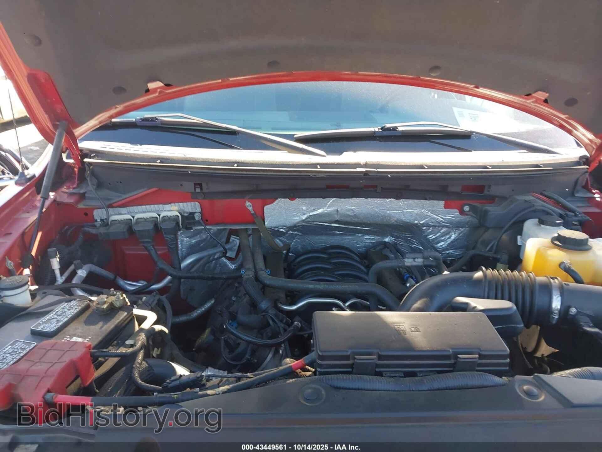 2013 FORD F-150 - VIN: 1FTFX1EFXDKG04903 - Фото 10