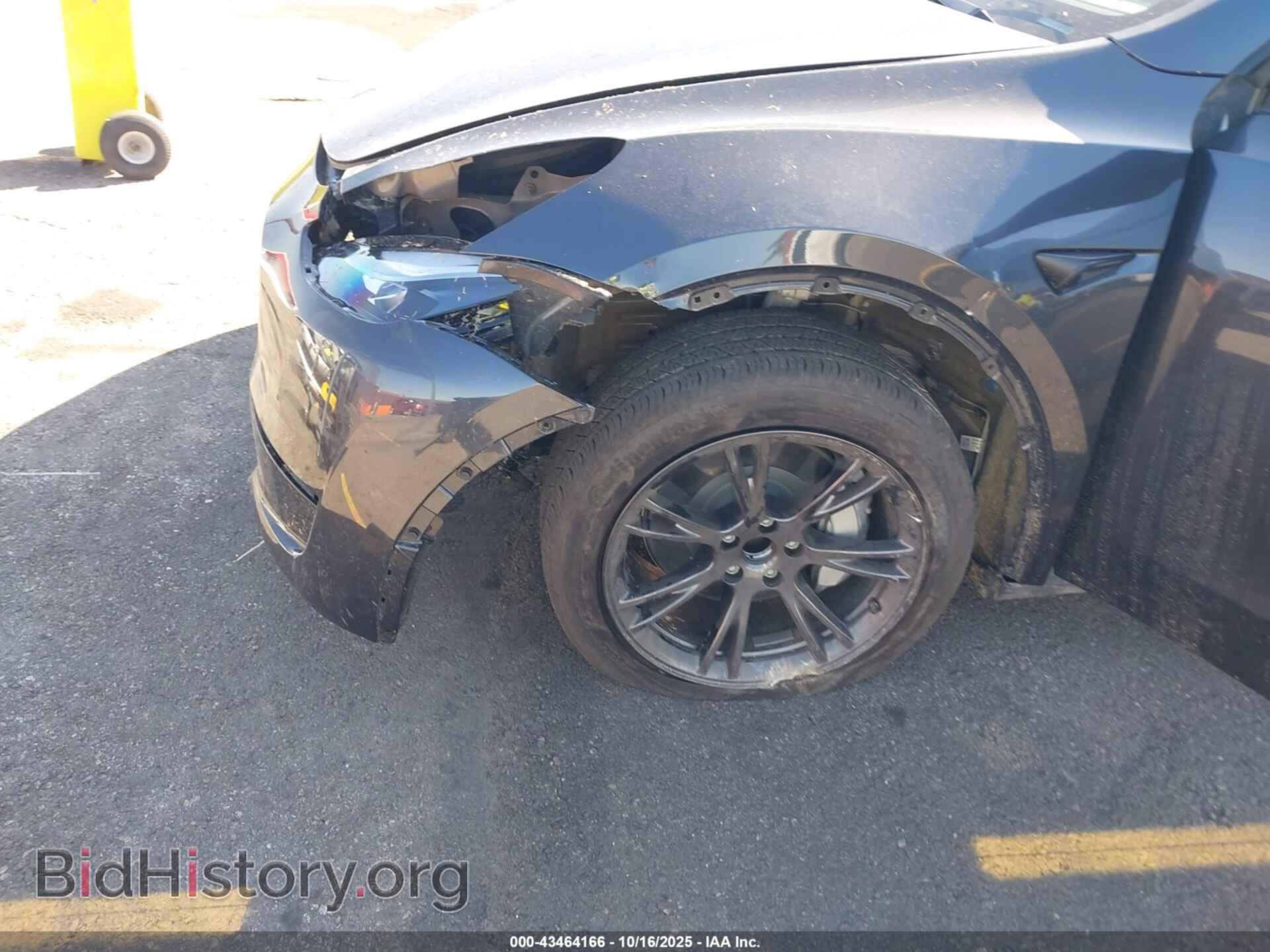2024 TESLA MODEL Y - VIN: 7SAYGDED2RF182142 - Фото 6