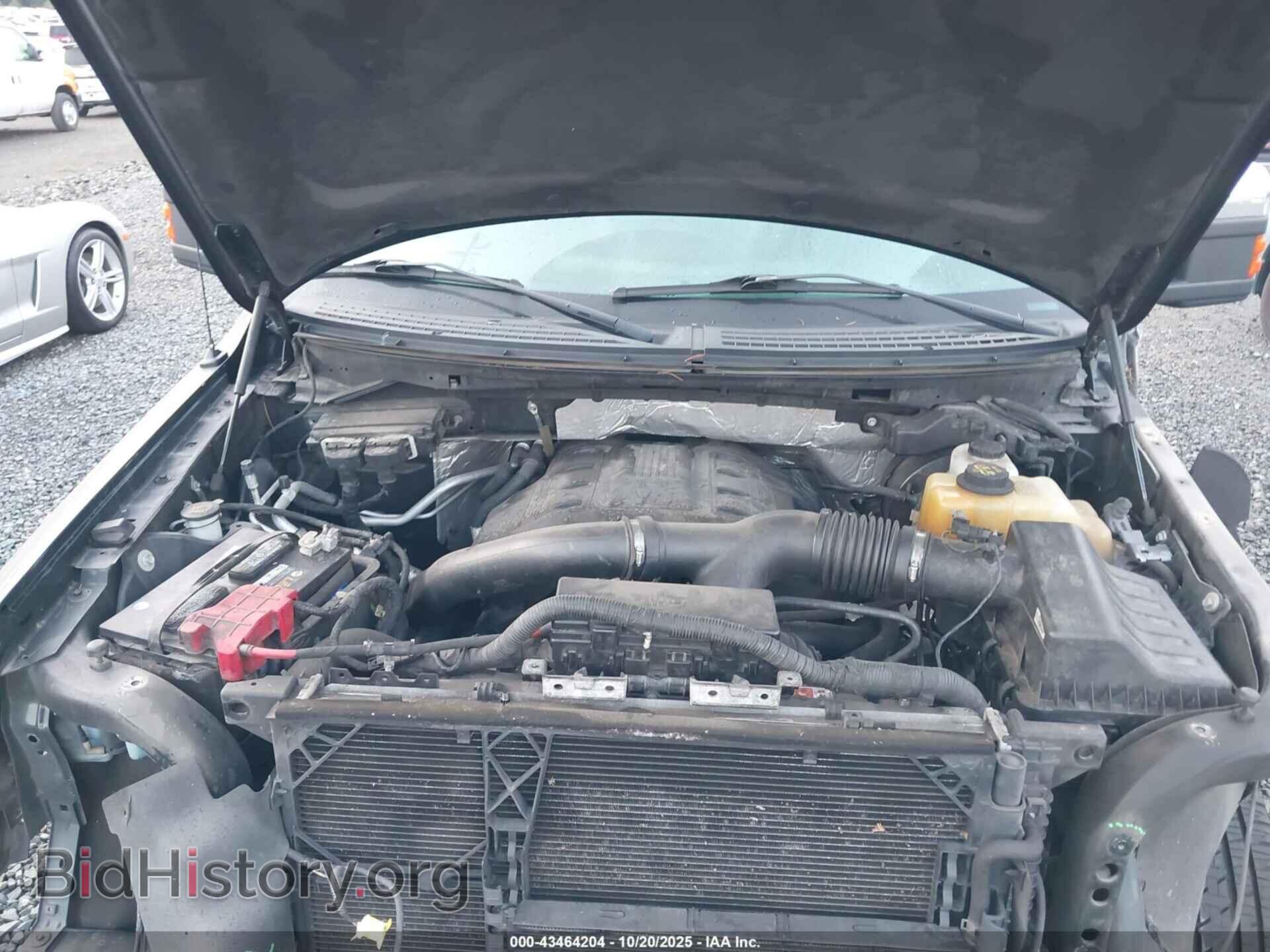 2013 FORD F-150 - VIN: 1FTFX1ET7DFD34415 - Фото 10