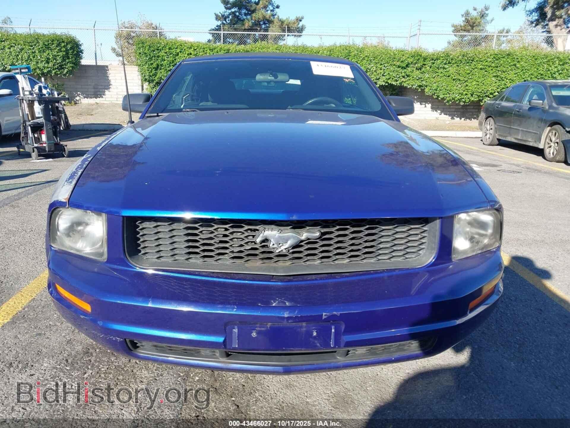 2005 FORD MUSTANG - VIN: 1ZVFT84N655254180 - Фото 12