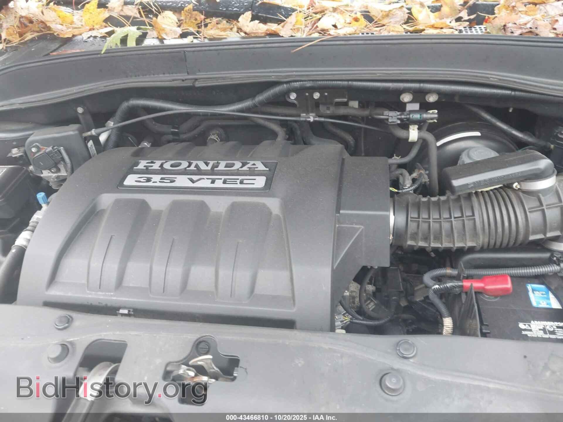 2005 HONDA PILOT - VIN: 5FNYF18555B011804 - Фото 10