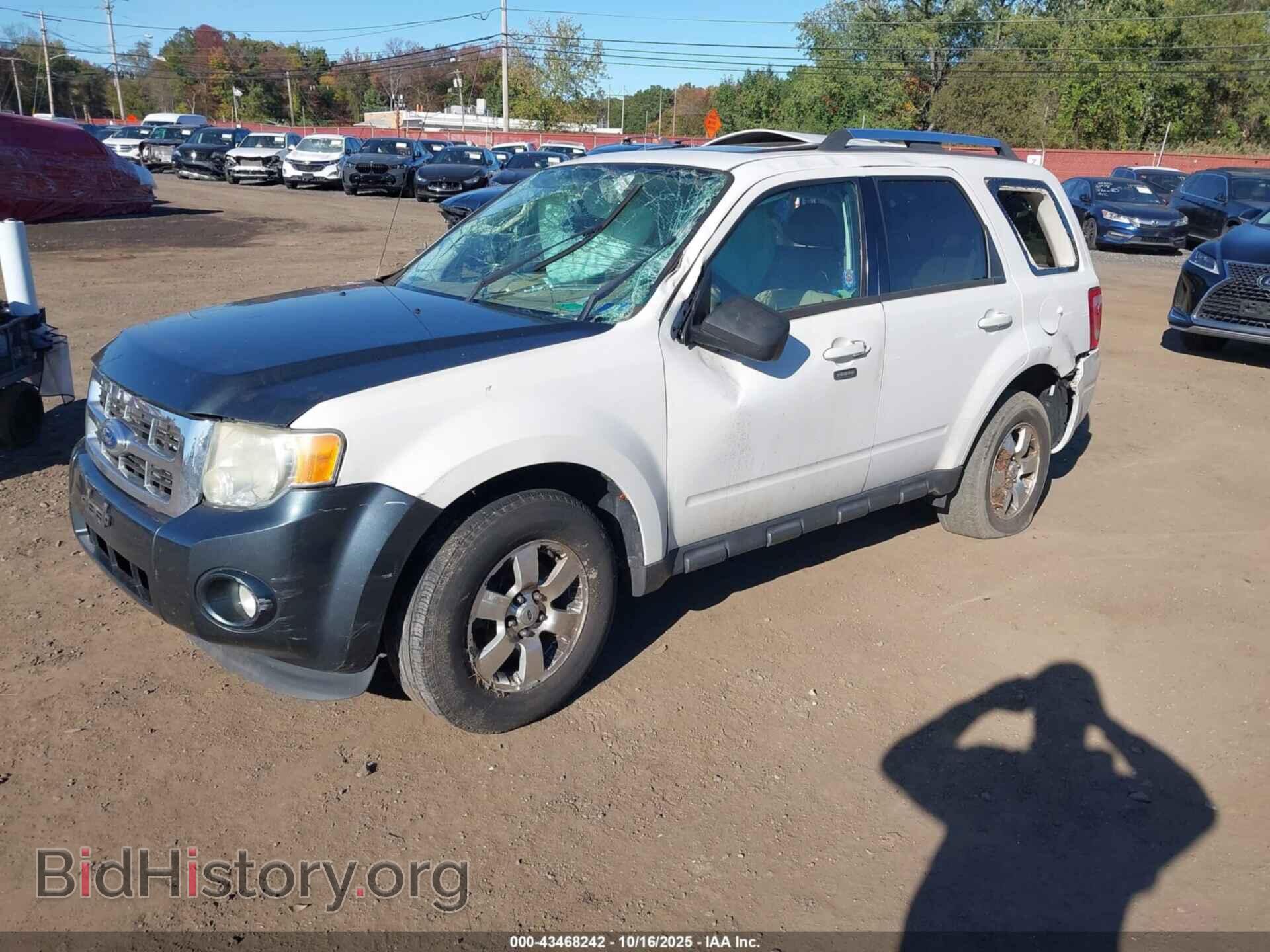 2011 FORD ESCAPE - VIN: 1FMCU9EG5BKB77187 - Фото 2