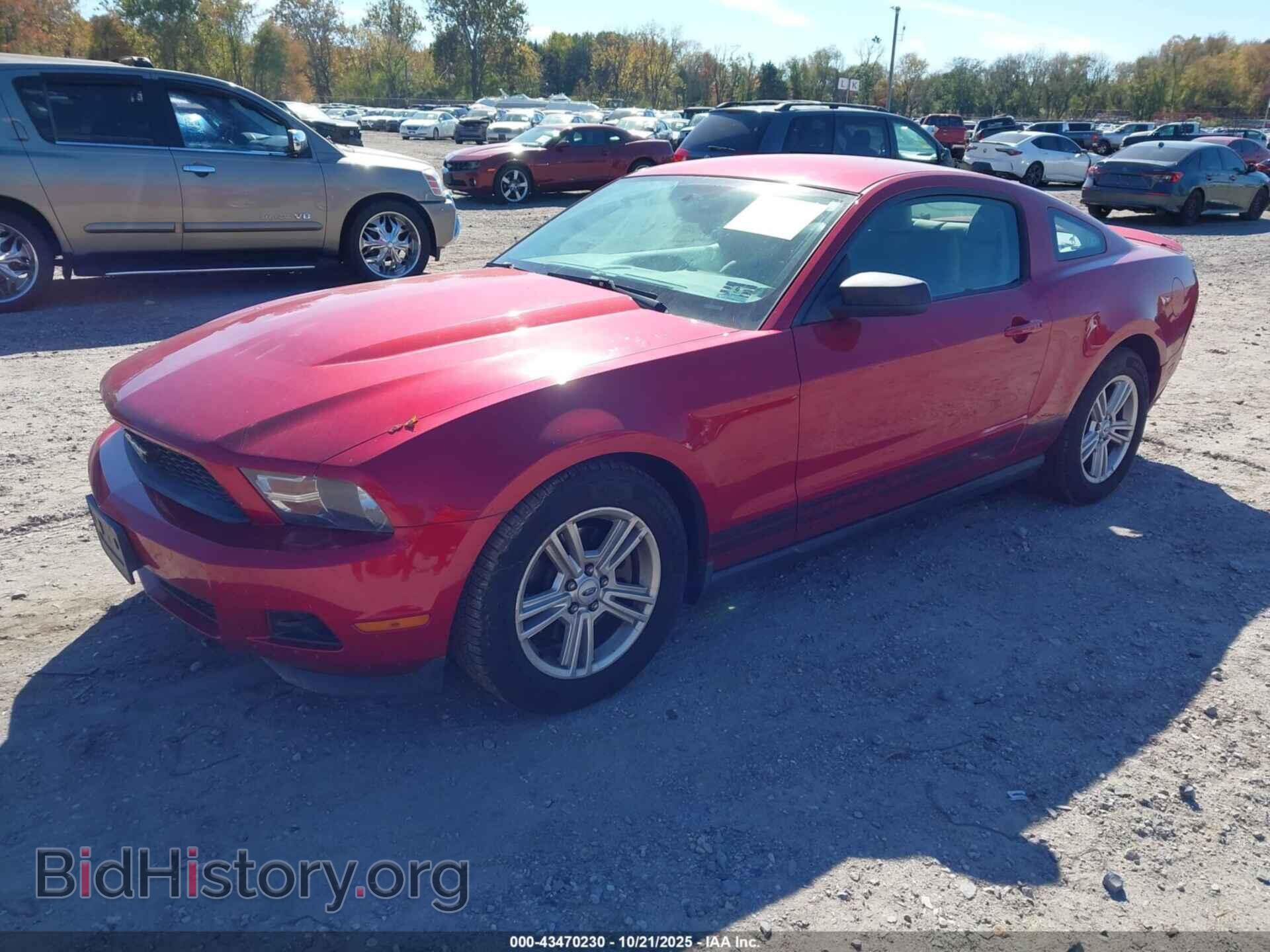 2011 FORD MUSTANG - VIN: 1ZVBP8AM4B5114039 - Фото 2