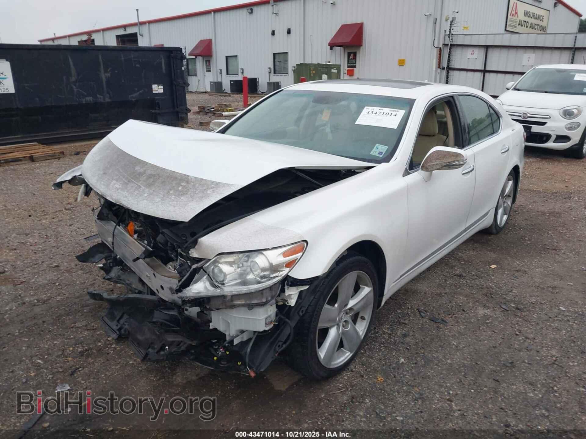 2010 LEXUS LS 460 - VIN: JTHBL5EF8A5097459 - Photo 2