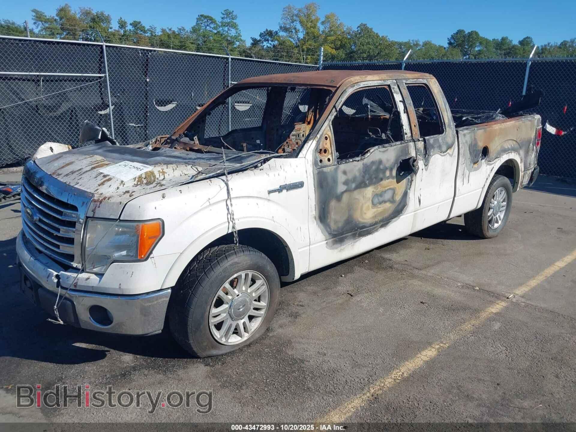 2013 FORD F-150 - VIN: 1FTFX1CF5DFD74912 - Фото 2
