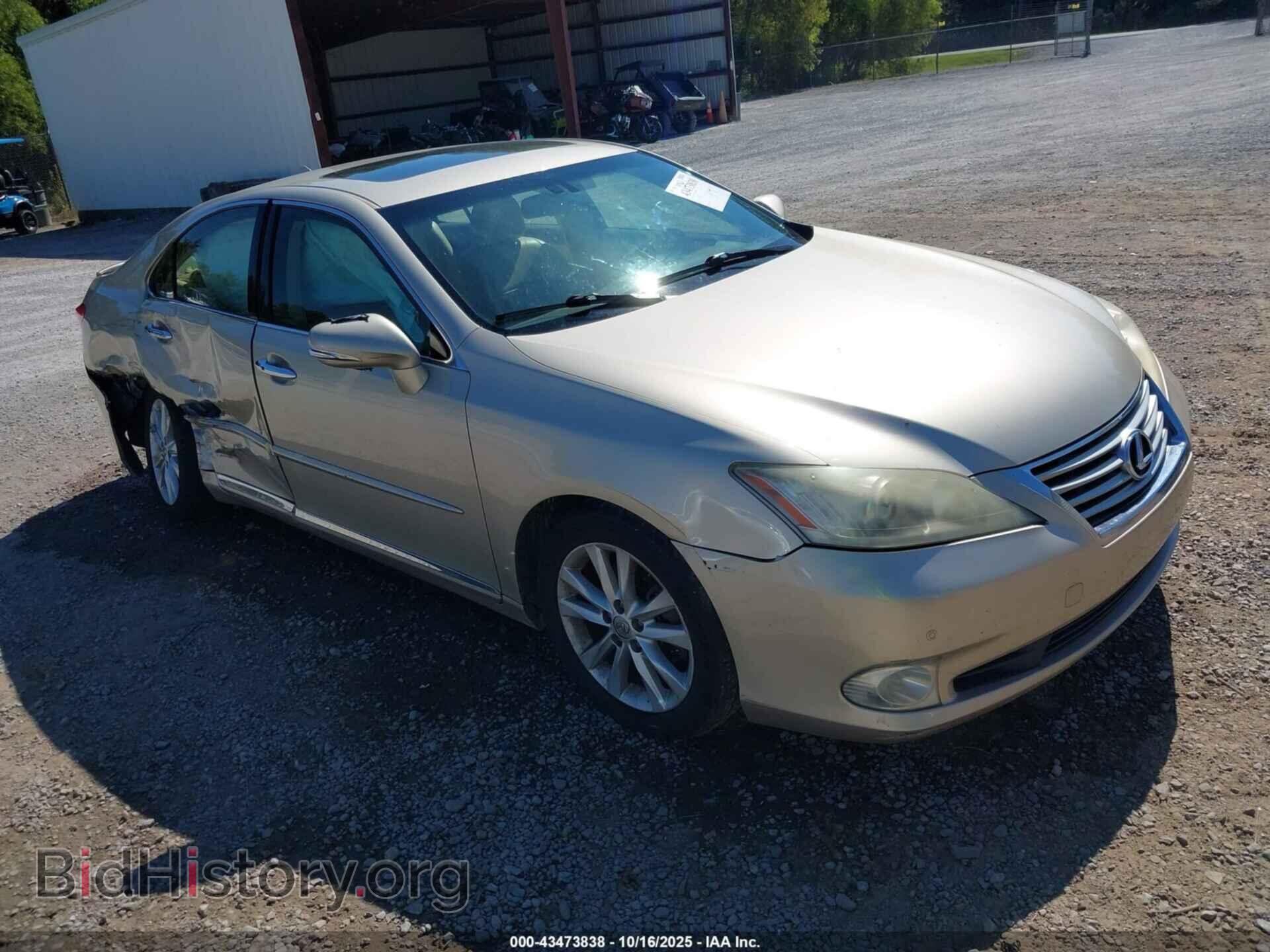 Фотография JTHBK1EG6C2482950 - LEXUS ES 350 2012