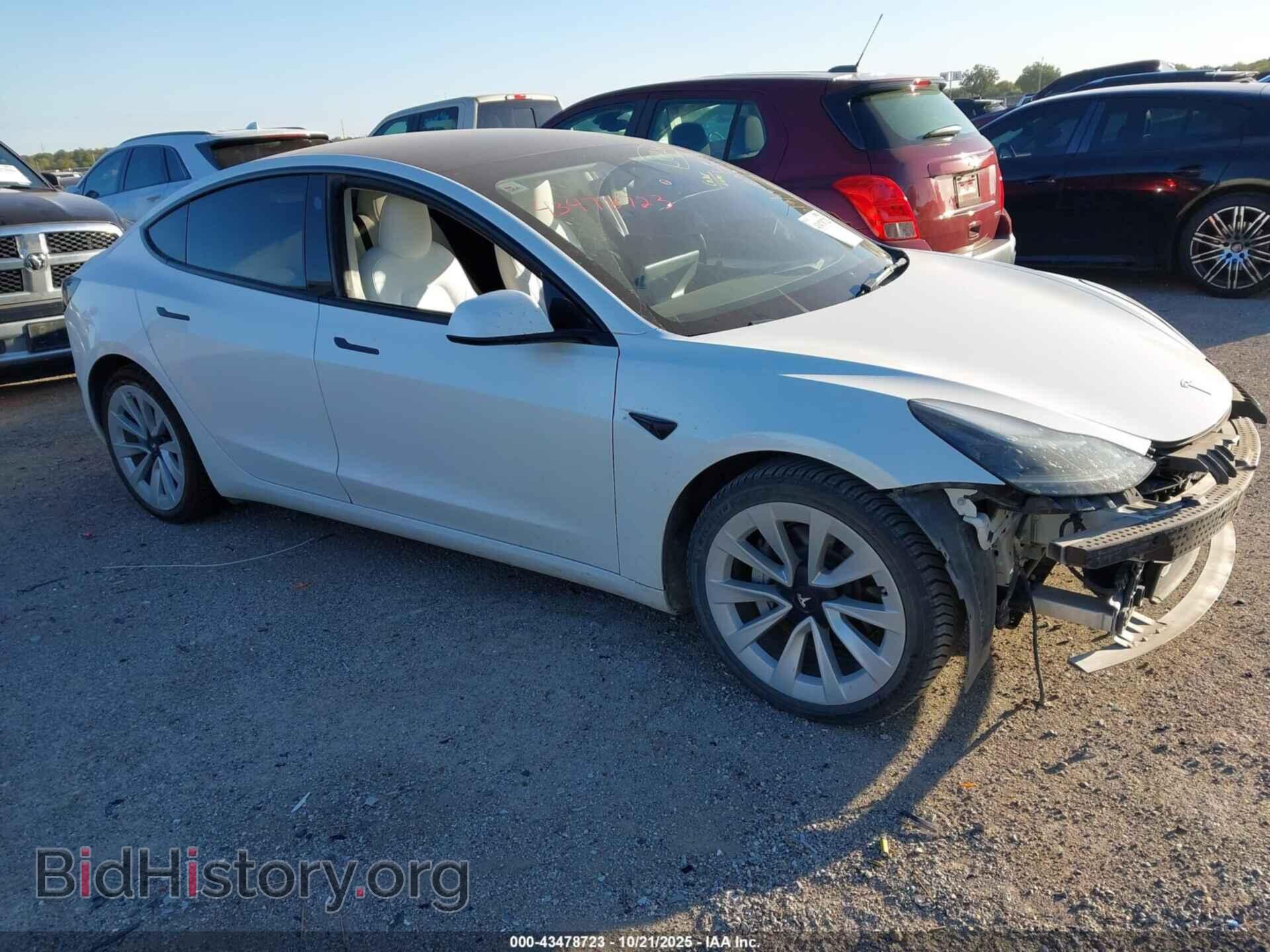 Photo 5YJ3E1EA1PF384209 - TESLA MODEL 3 2023