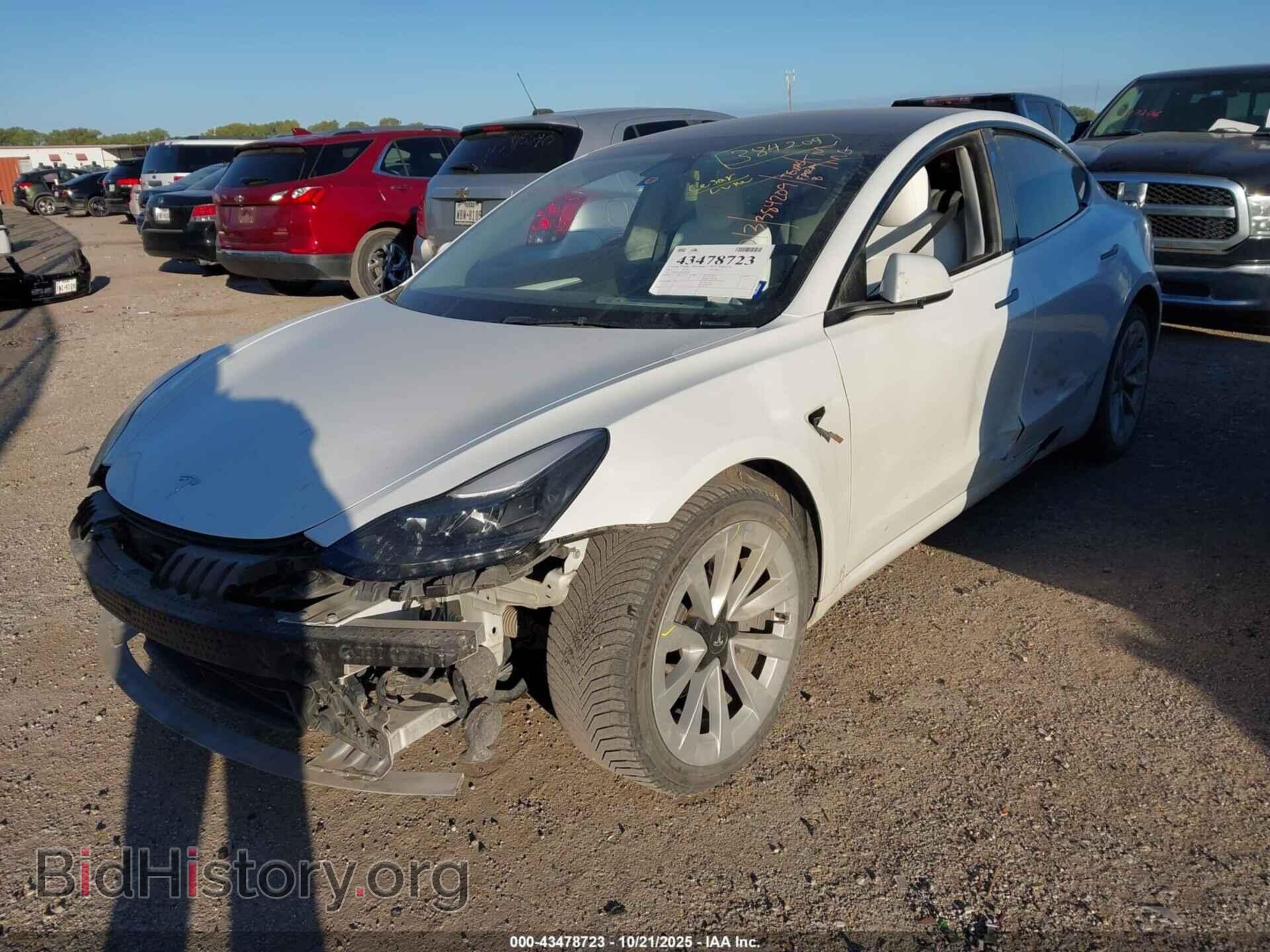 2023 TESLA MODEL 3 - VIN: 5YJ3E1EA1PF384209 - Фото 2