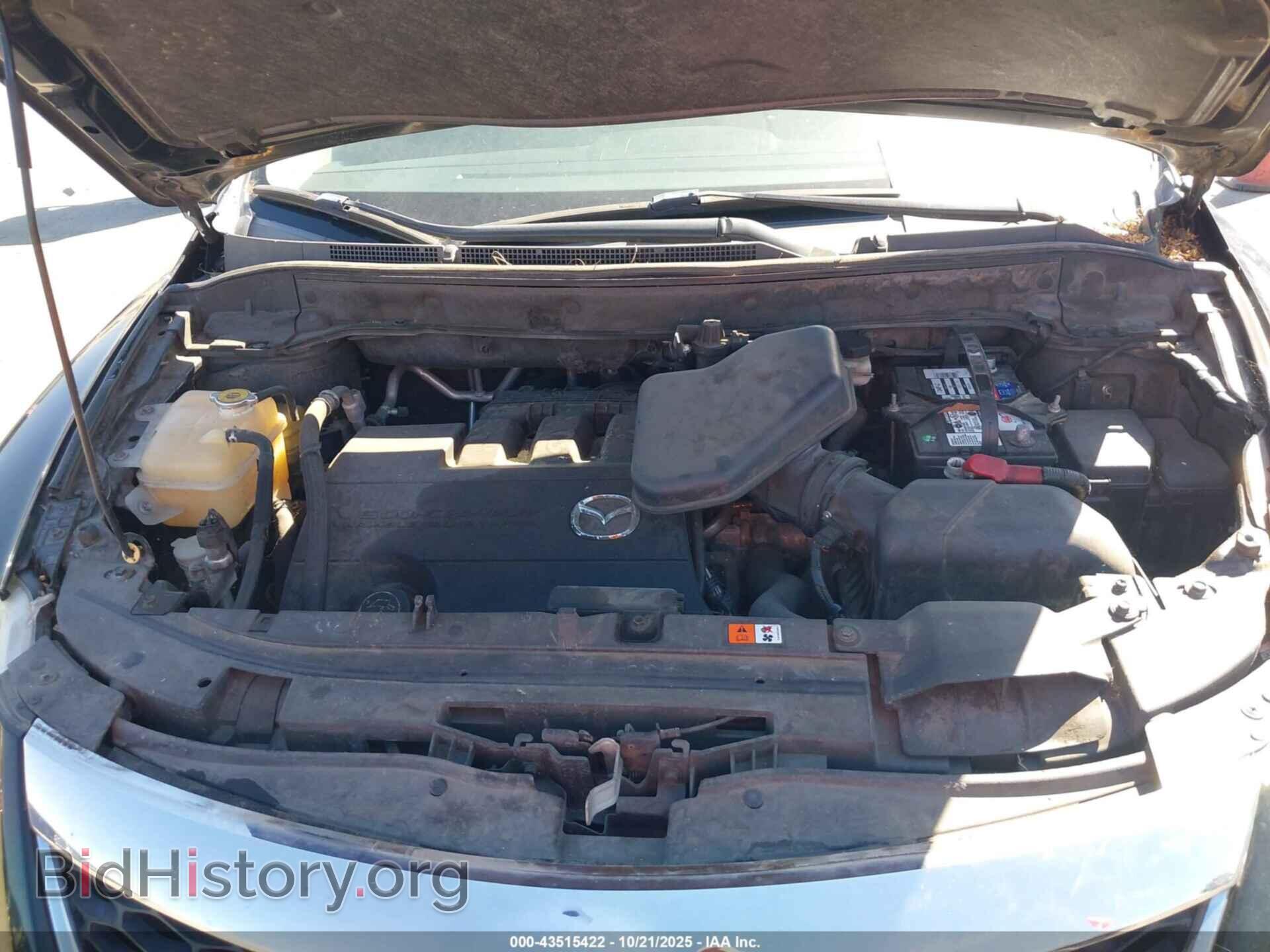 2010 MAZDA CX-9 - VIN: JM3TB2MV3A0208309 - Фото 10