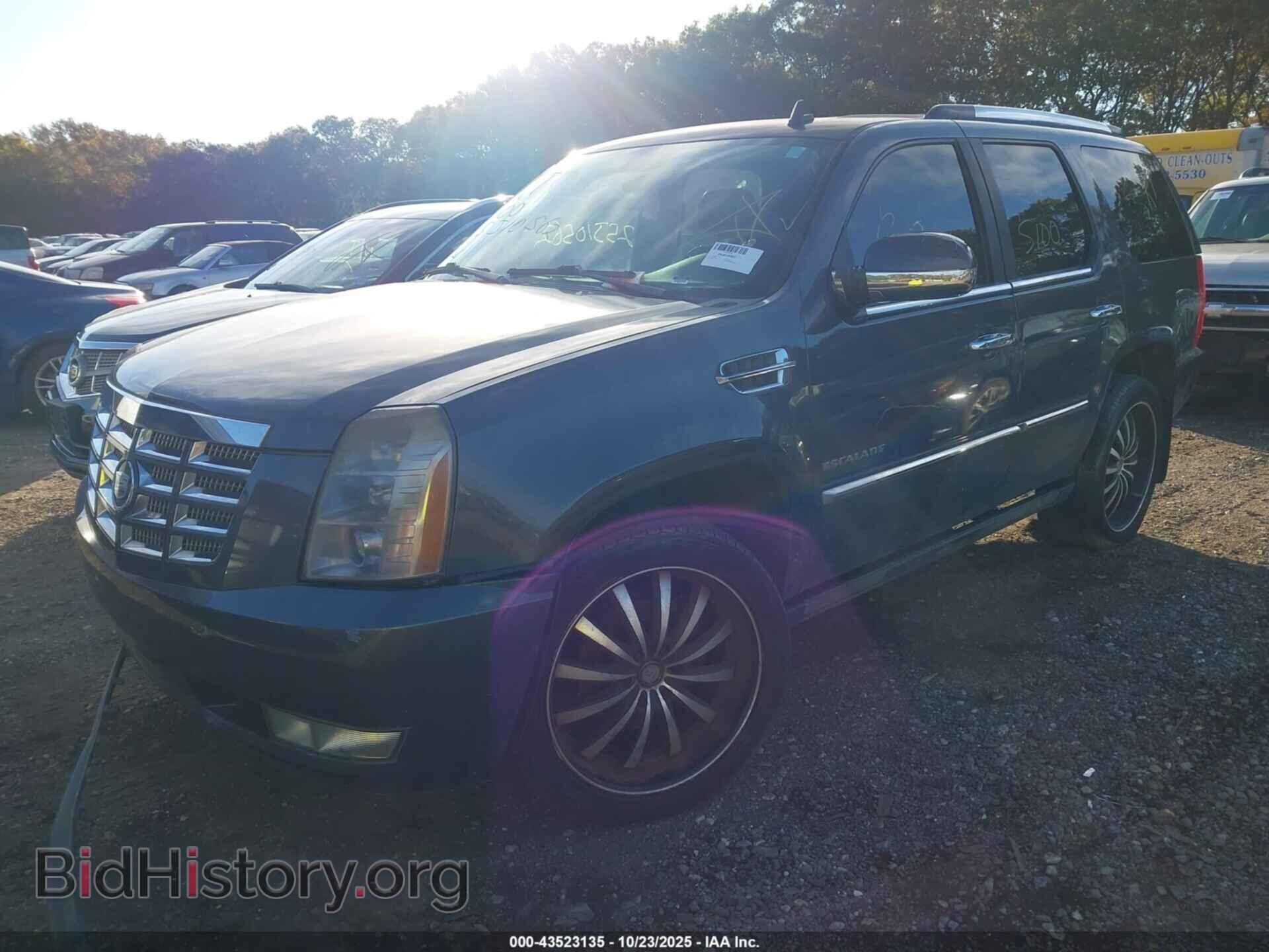 2010 CADILLAC ESCALADE - VIN: 1GYUCCEF9AR118689 - Фото 2