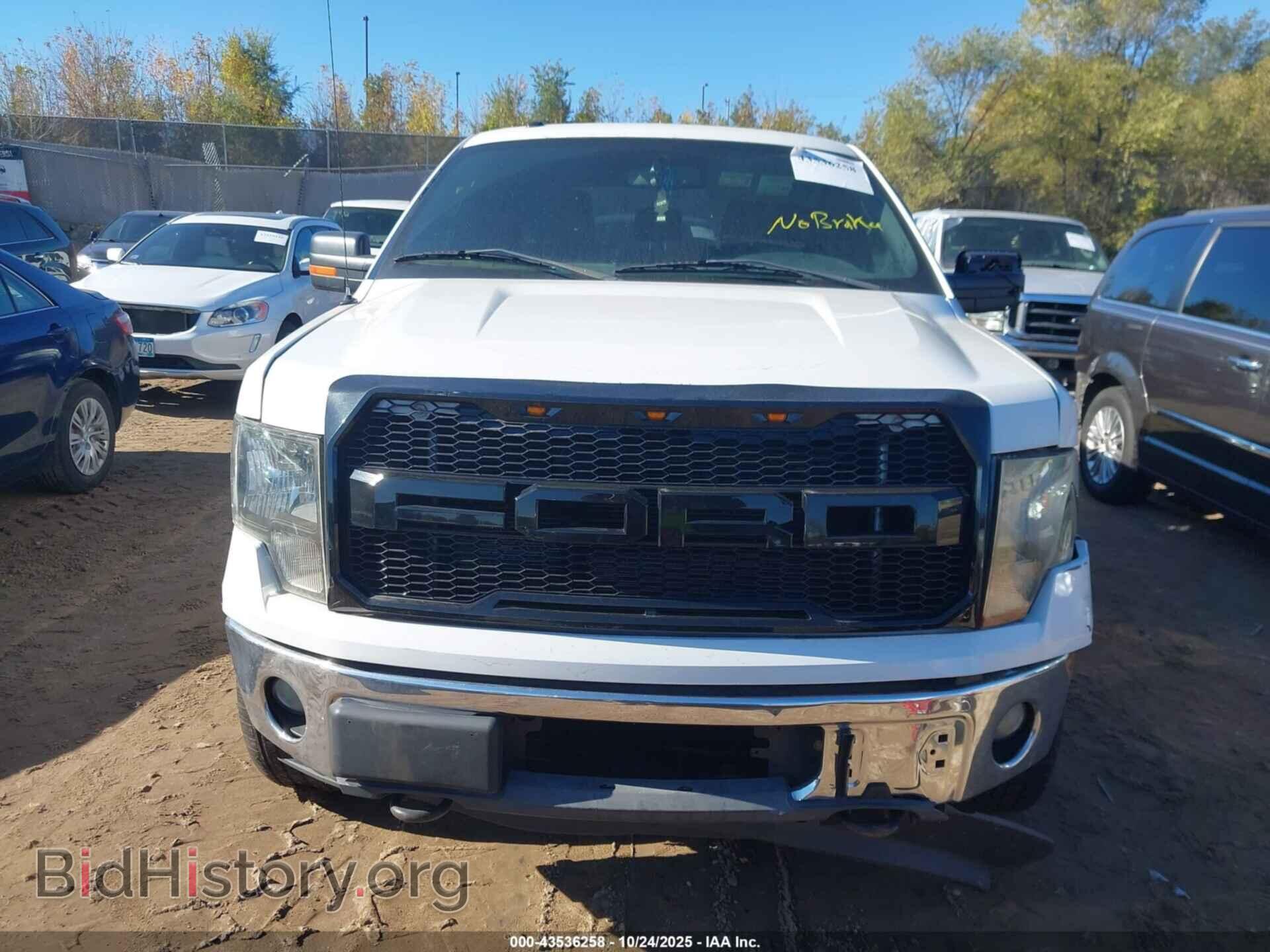 2011 FORD F-150 - VIN: 1FTFW1EF3BFB48784 - Фото 12