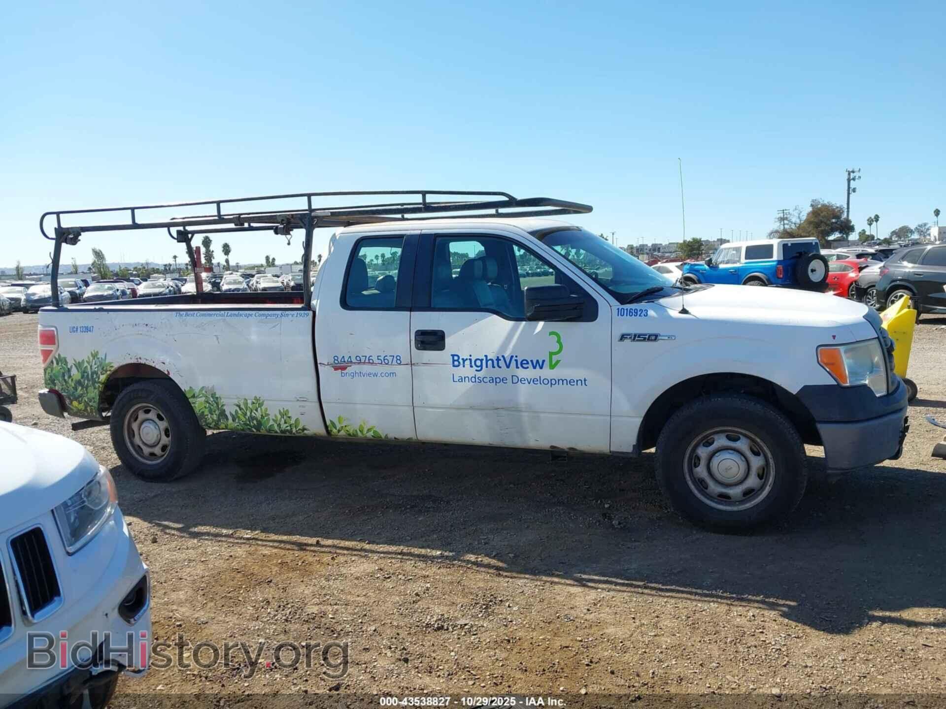 2013 FORD F-150 - VIN: 1FTFX1CF5DKE35781 - Фото 13