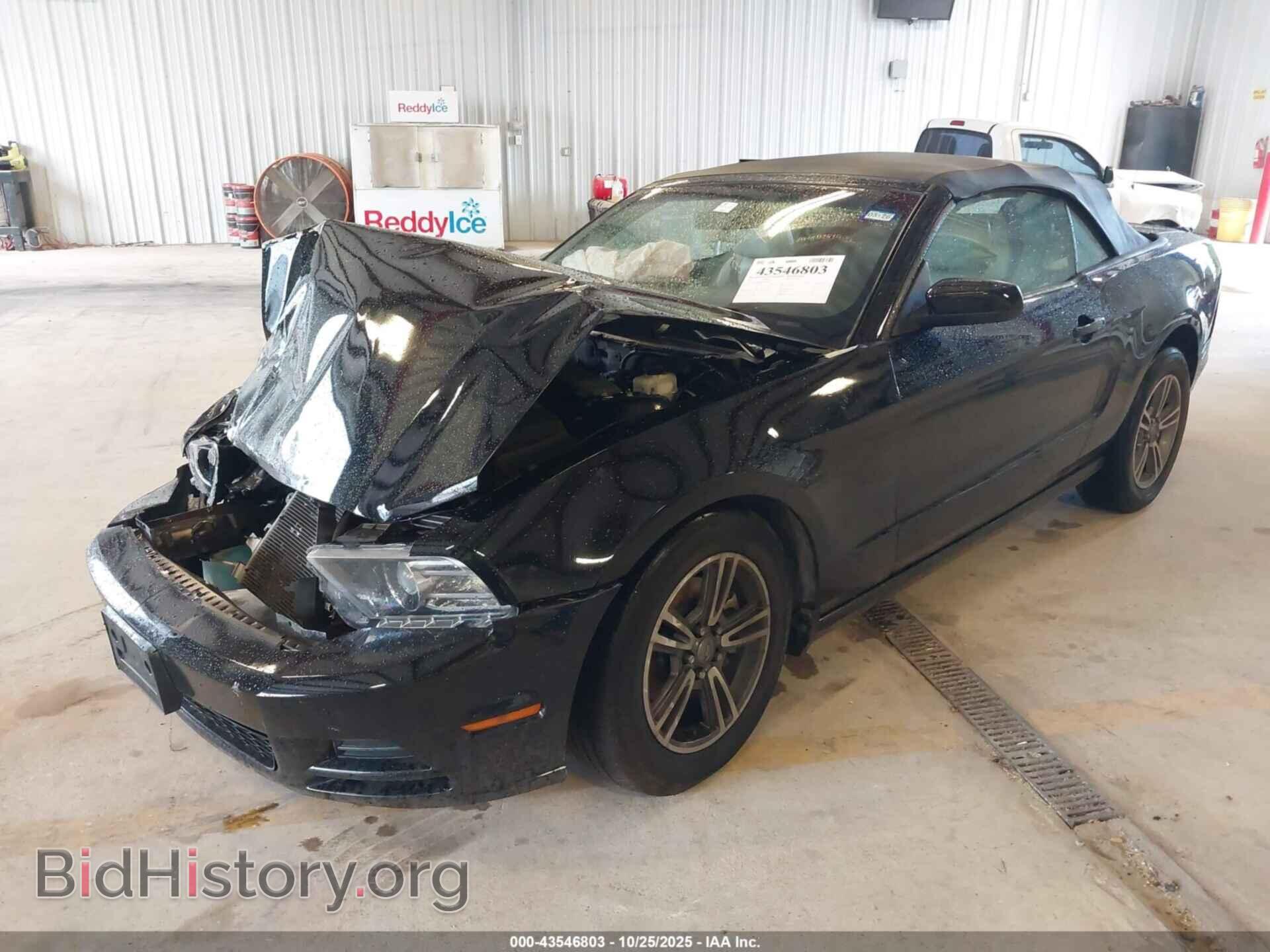 2013 FORD MUSTANG - VIN: 1ZVBP8EM6D5236821 - Фото 2