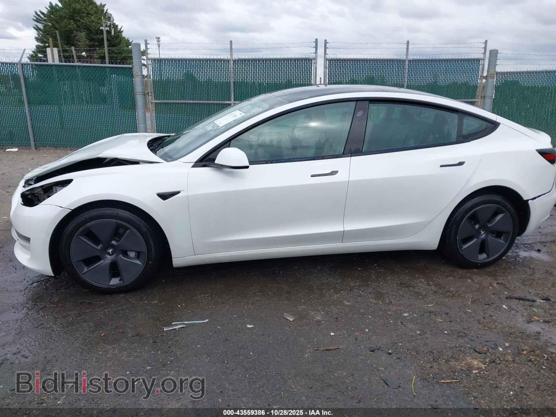 2021 TESLA MODEL 3 - VIN: 5YJ3E1EA5MF943143 - Фото 15