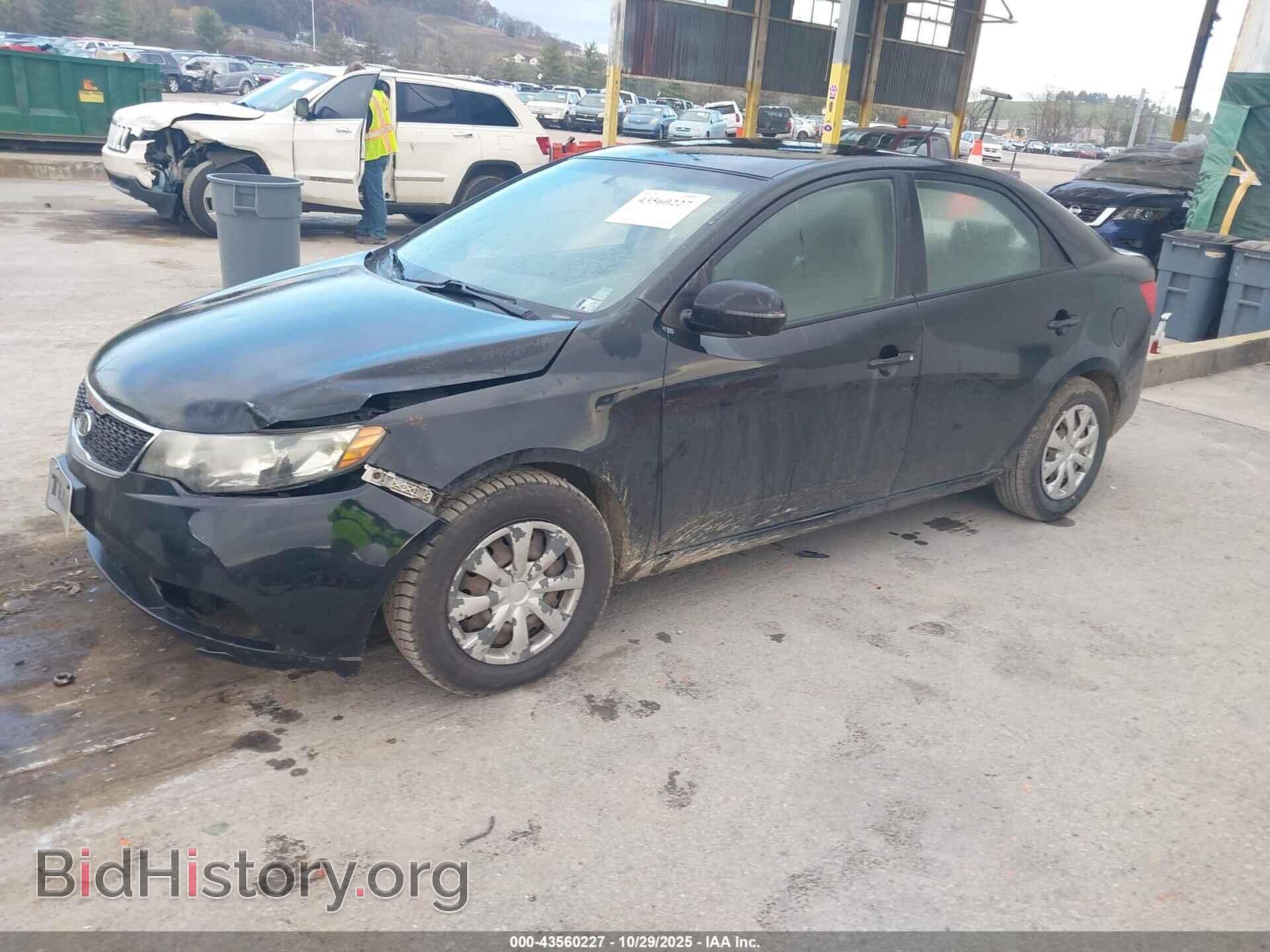 2011 KIA FORTE - VIN: KNAFU4A23B5451139 - Фото 2