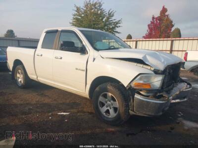2010 Dodge RAM 1500 SLT/Sport/TRX, белый — VIN 1D7RV1GP1AS173748, IAAI