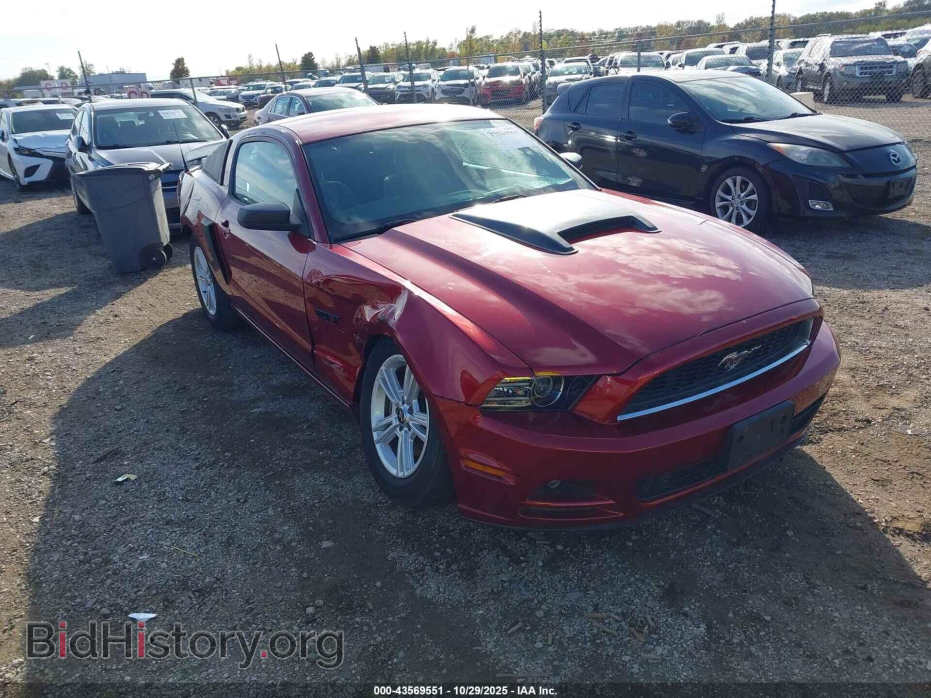 Photo 1ZVBP8AM7E5311338 - FORD MUSTANG 2014