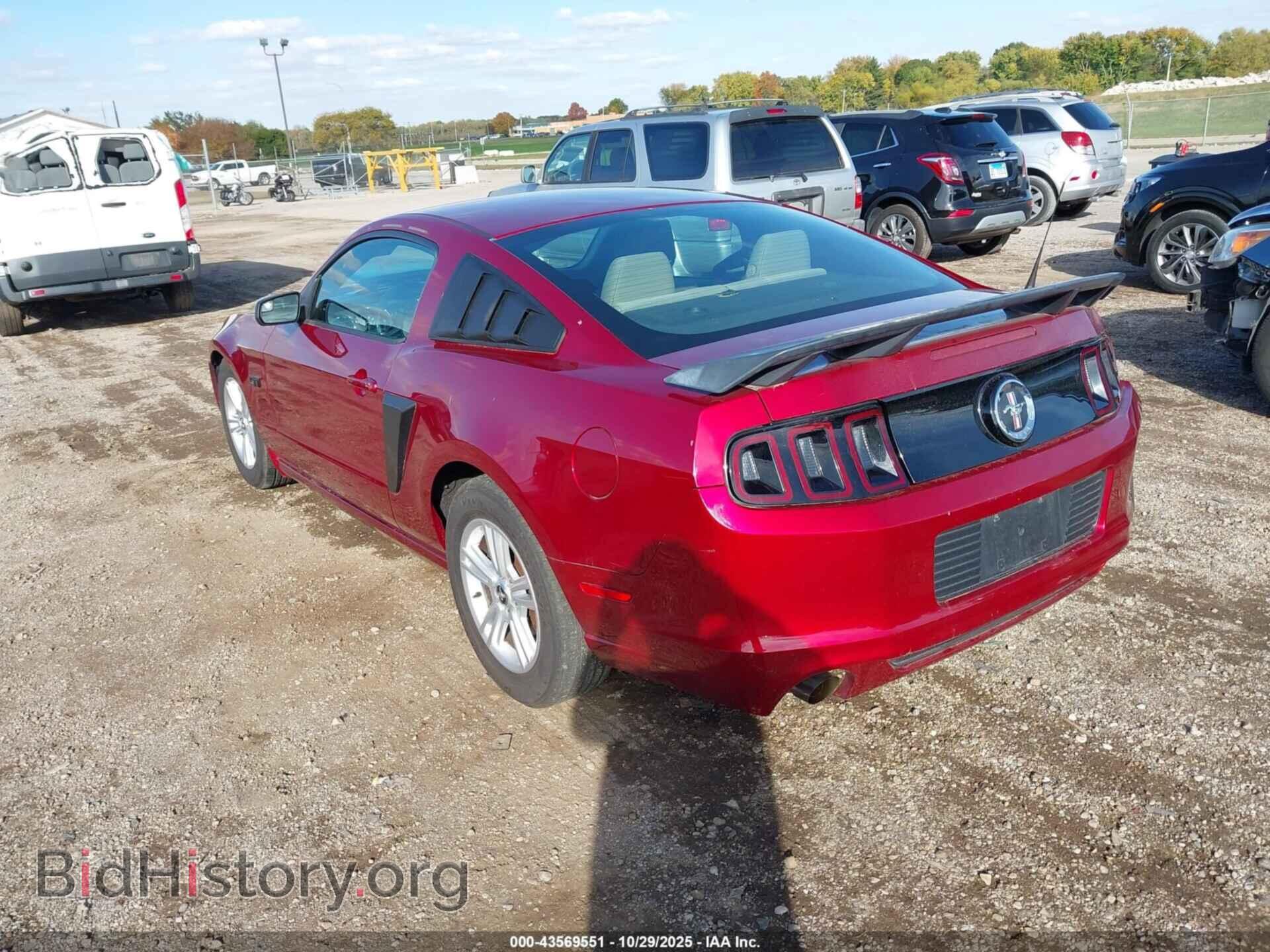 2014 FORD MUSTANG - VIN: 1ZVBP8AM7E5311338 - Фото 3