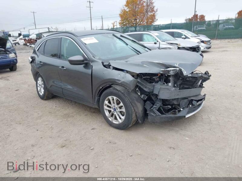 2020 Ford ESCAPE SE (VIN 1FMCU0G65LUA91464) — фото 1 из 15, IAAI, повреждение: передняя часть