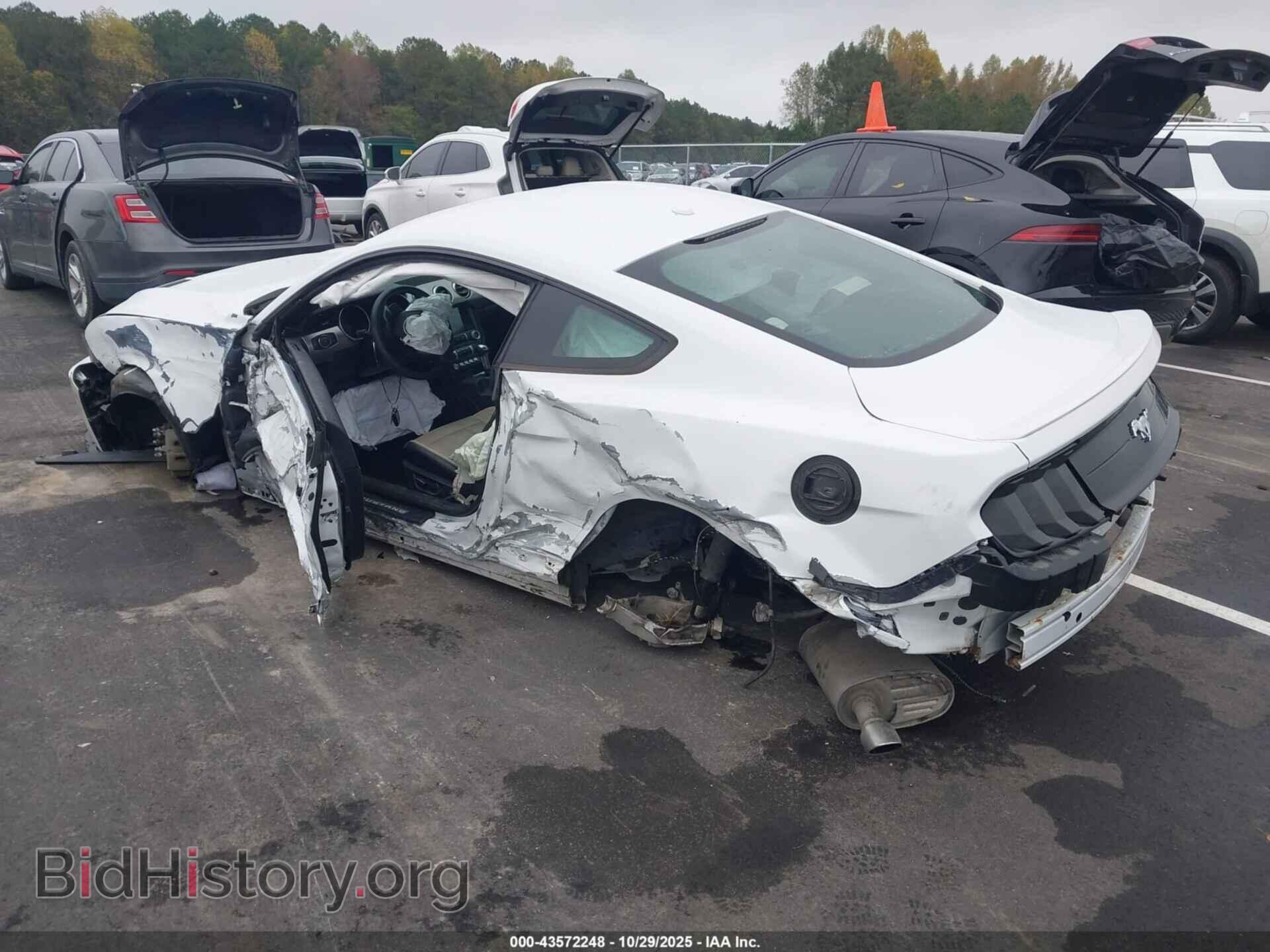 2019 FORD MUSTANG - VIN: 1FA6P8TH4K5119557 - Фото 3