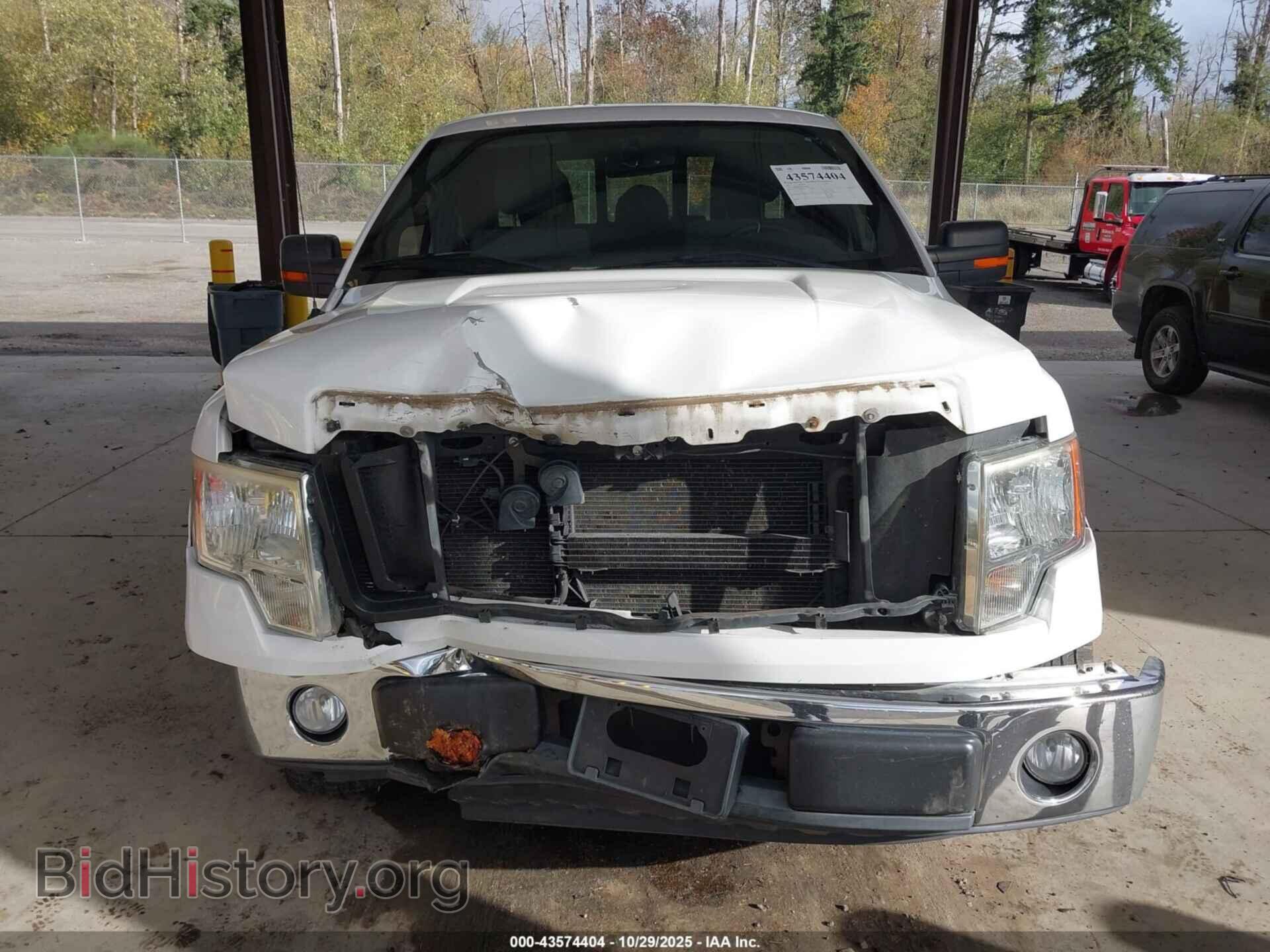 2011 FORD F-150 - VIN: 1FTFX1CF3BFA44893 - Фото 13