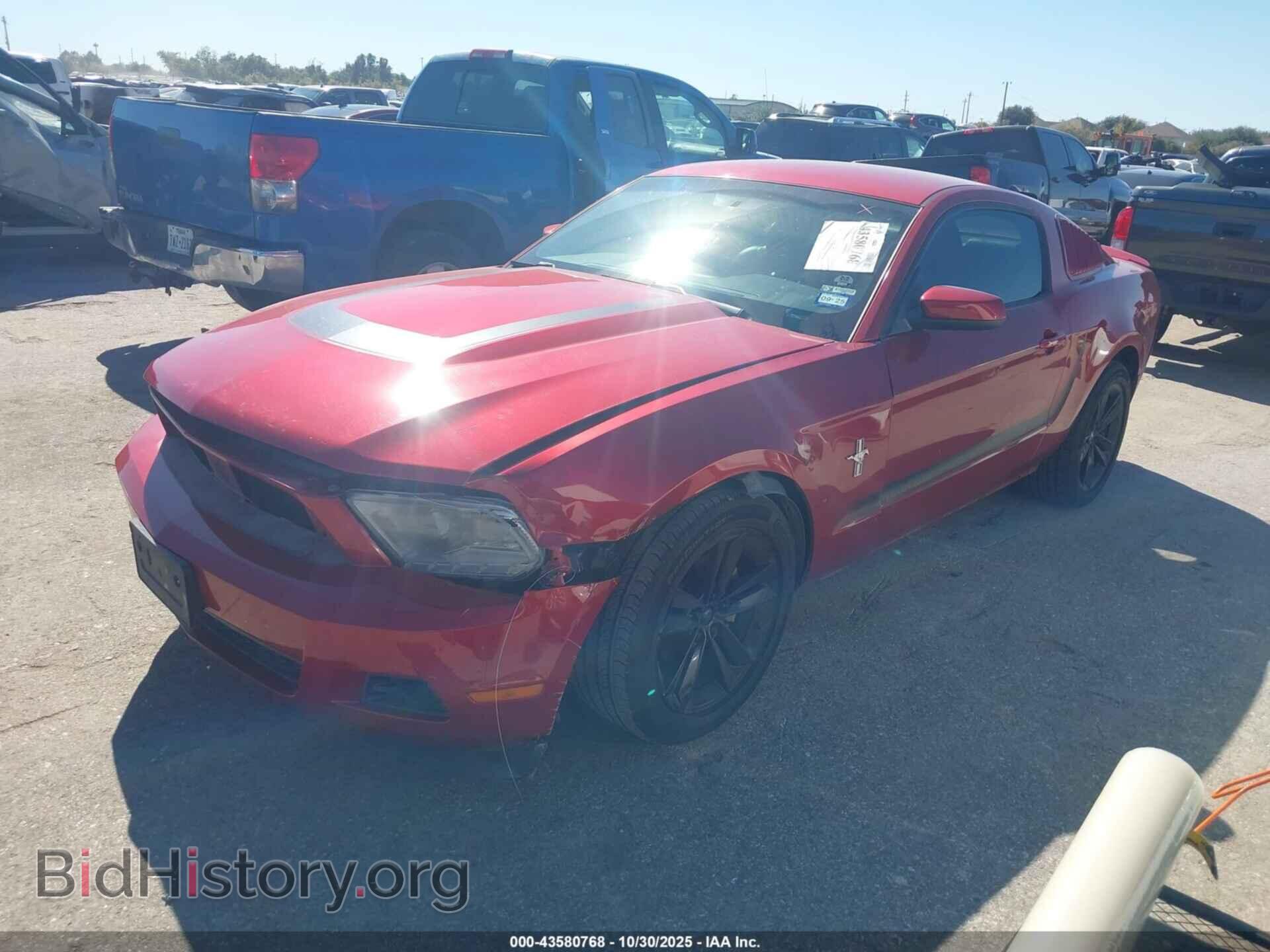 2010 FORD MUSTANG - VIN: 1ZVBP8AN0A5154903 - Фото 2