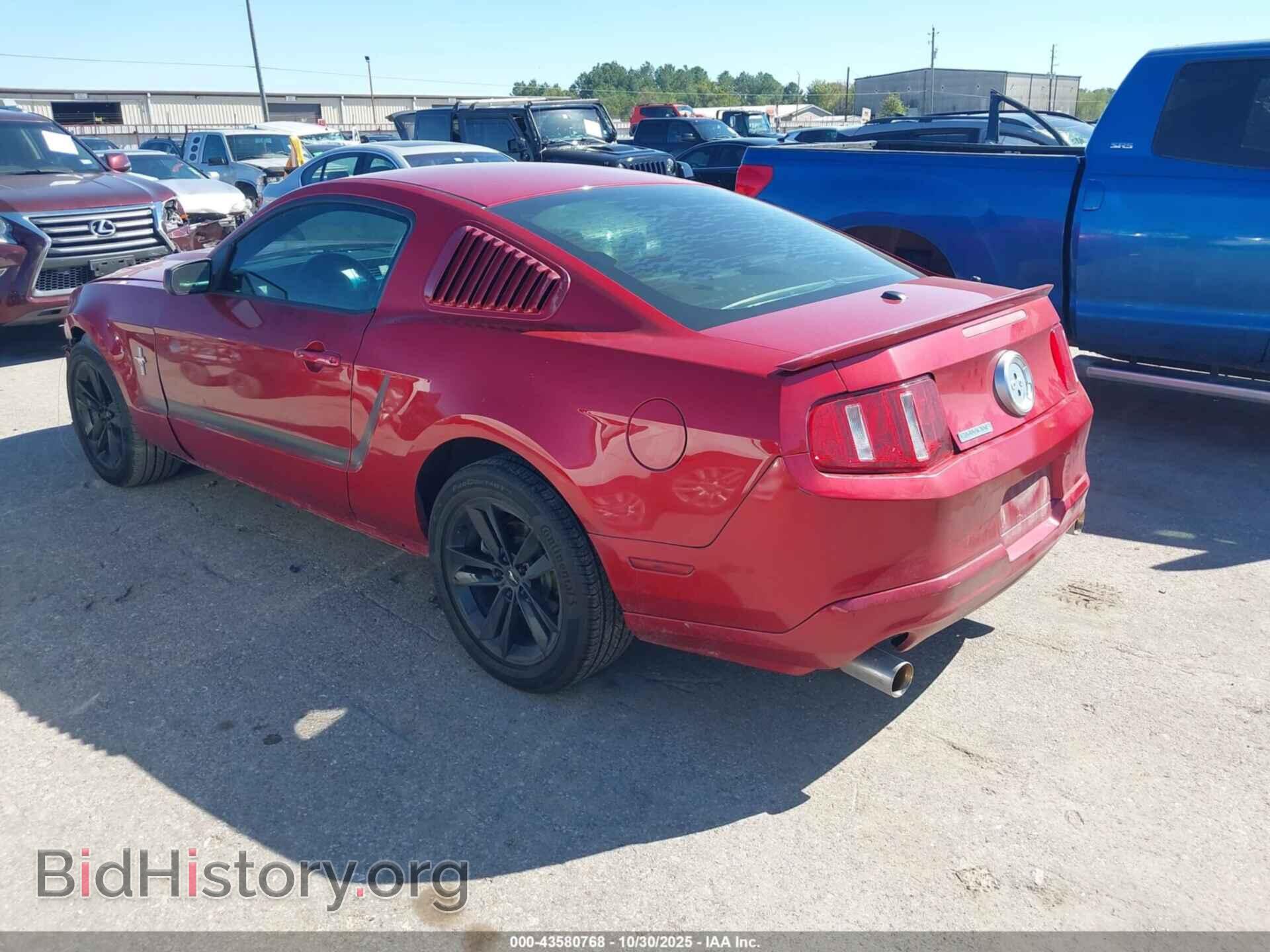 2010 FORD MUSTANG - VIN: 1ZVBP8AN0A5154903 - Фото 3