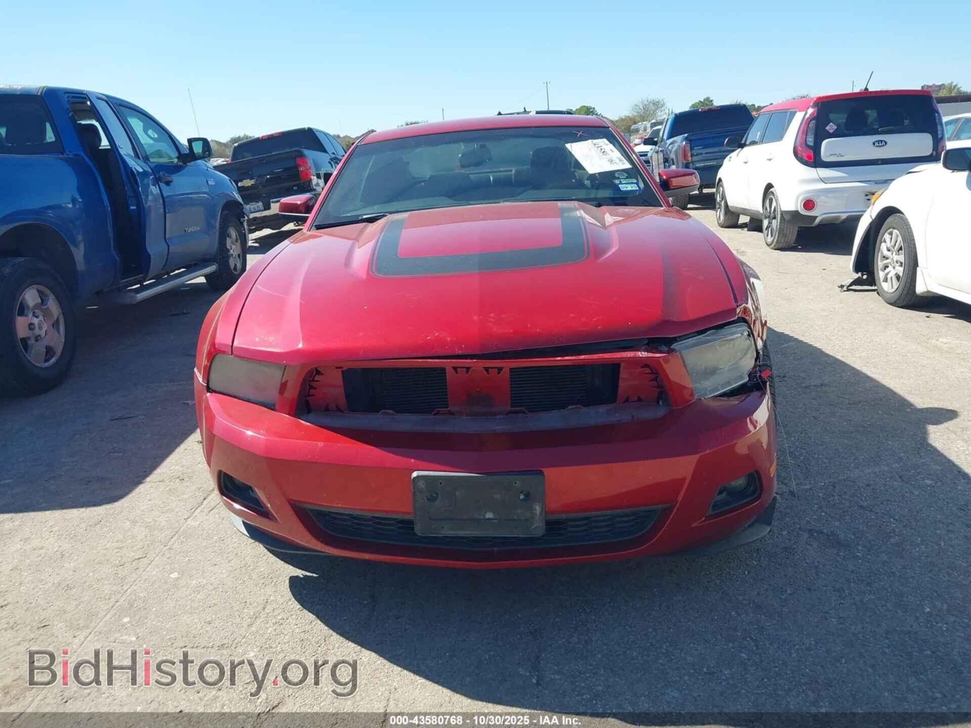 2010 FORD MUSTANG - VIN: 1ZVBP8AN0A5154903 - Фото 6