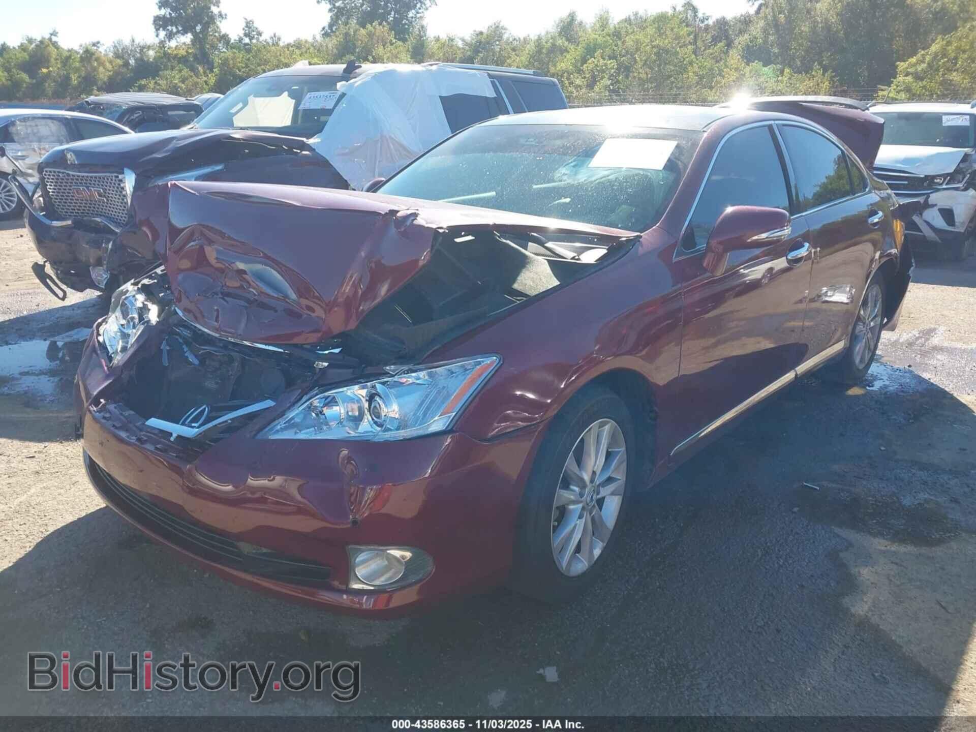 2010 LEXUS ES 350 - VIN: JTHBK1EG8A2385620 - Photo 2