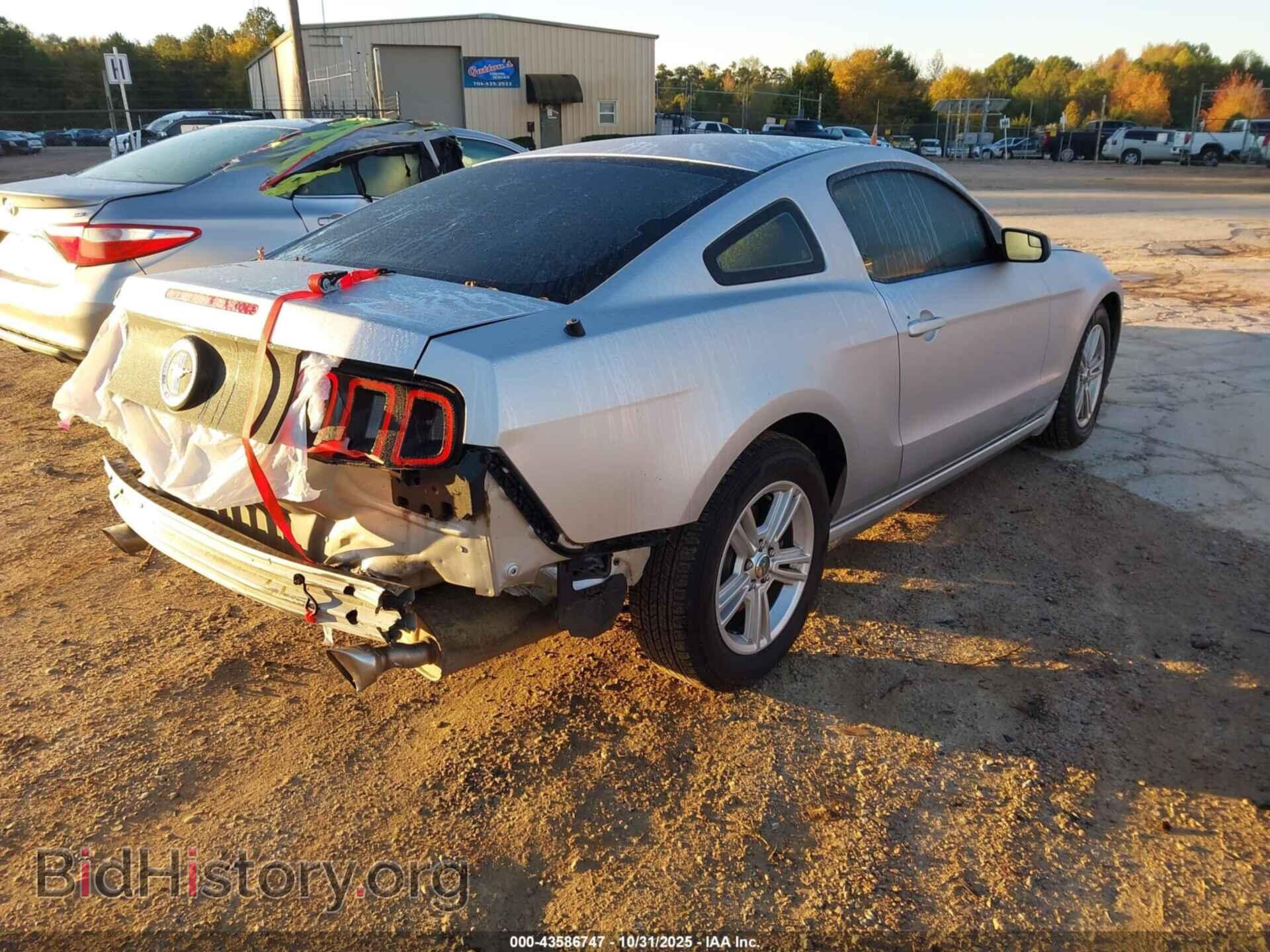 2013 FORD MUSTANG - VIN: 1ZVBP8AM8D5277358 - Фото 4