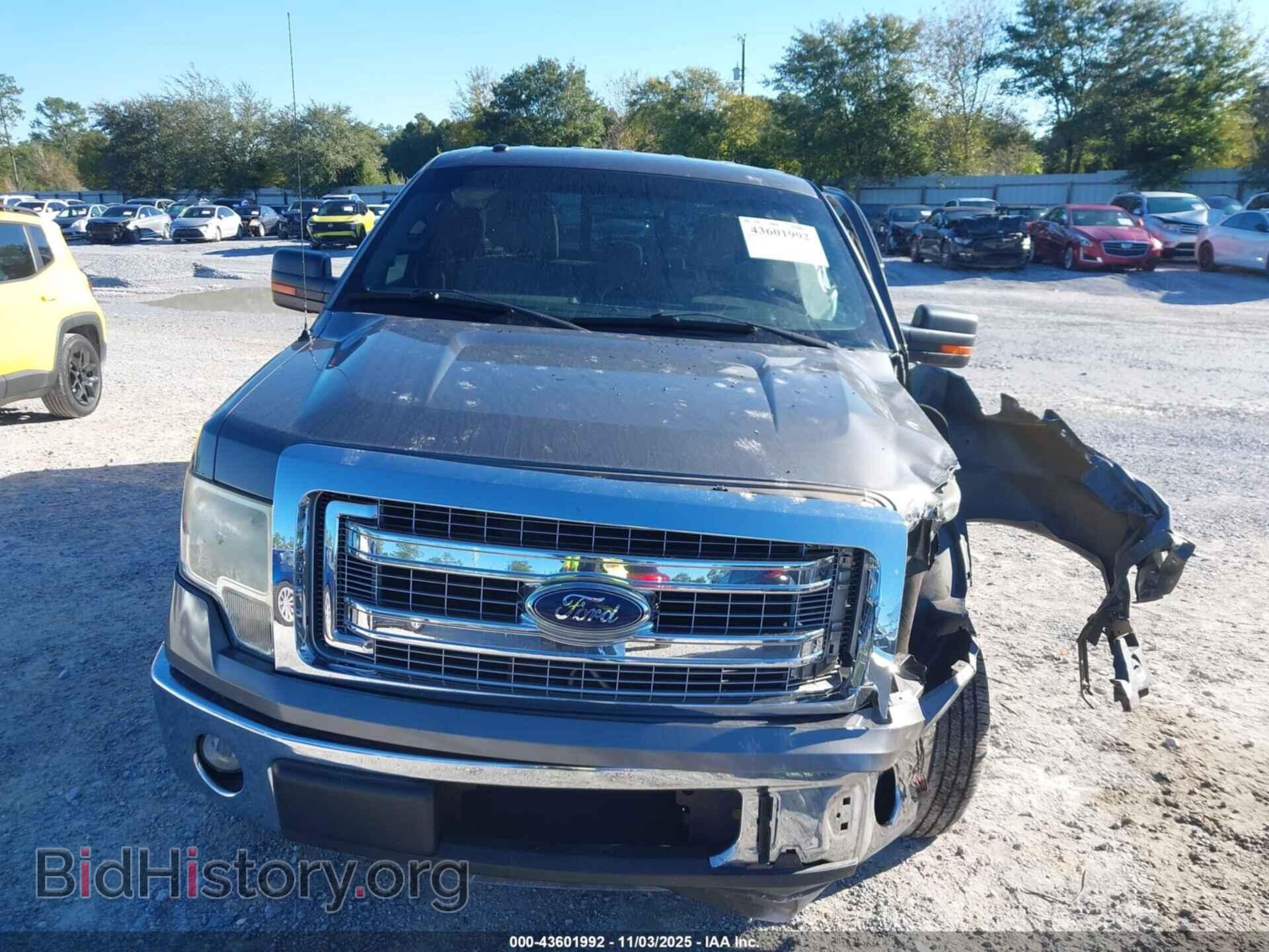 2013 FORD F-150 - VIN: 1FTFX1CF6DFA86171 - Фото 12